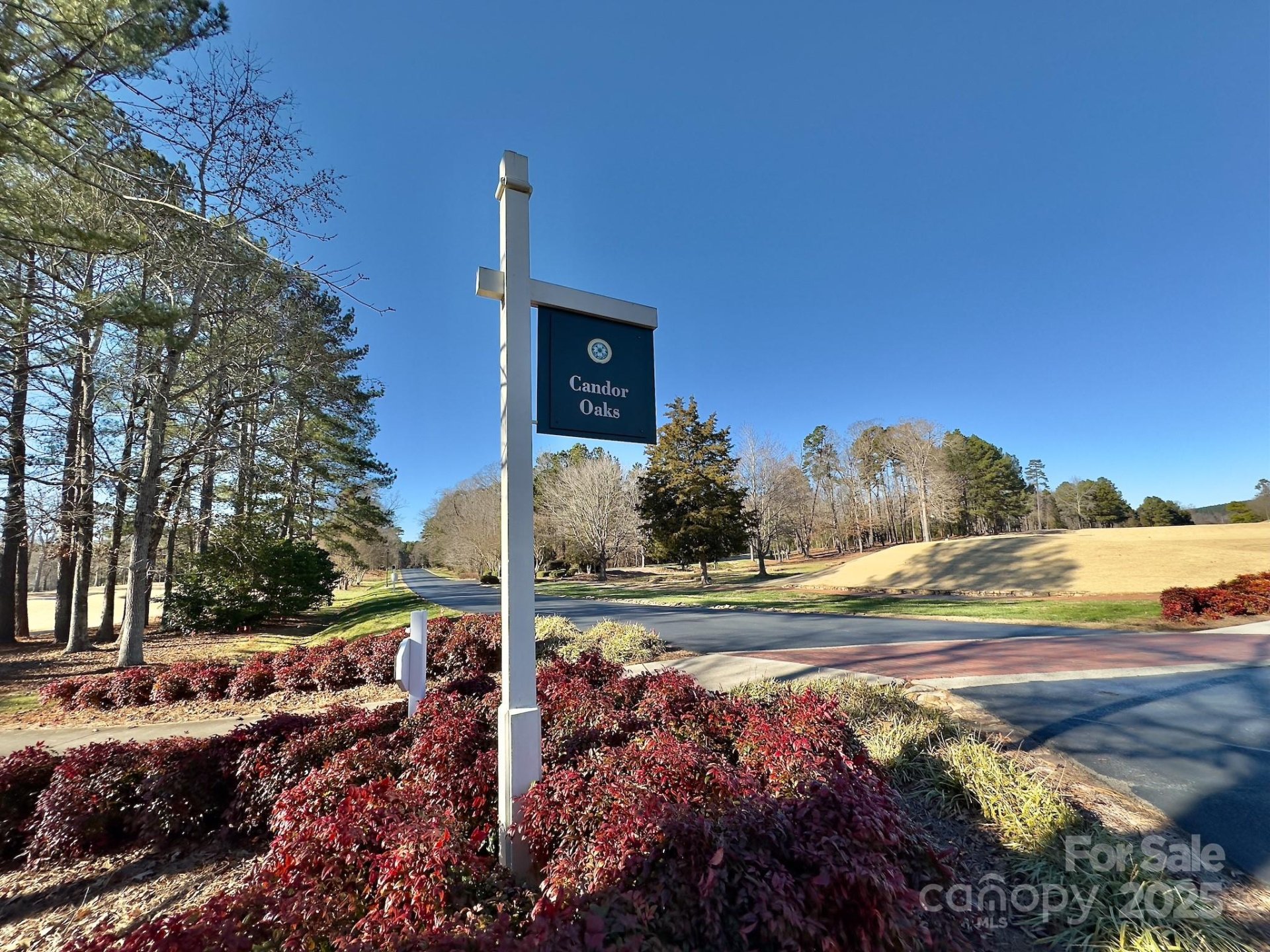118 Candor Oaks Drive