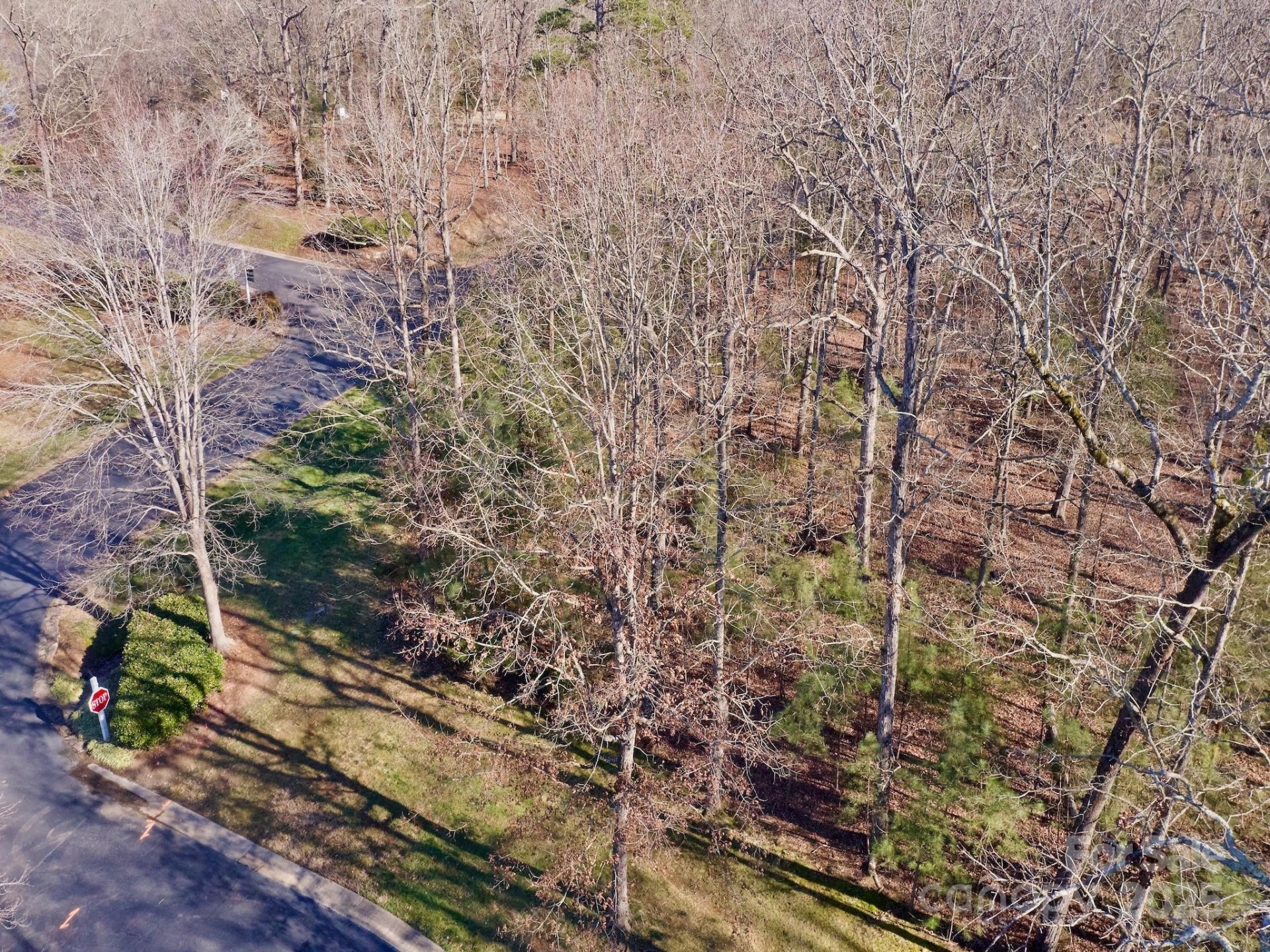 Property image 3 at 118 Candor Oaks Drive, New London, NC 28127