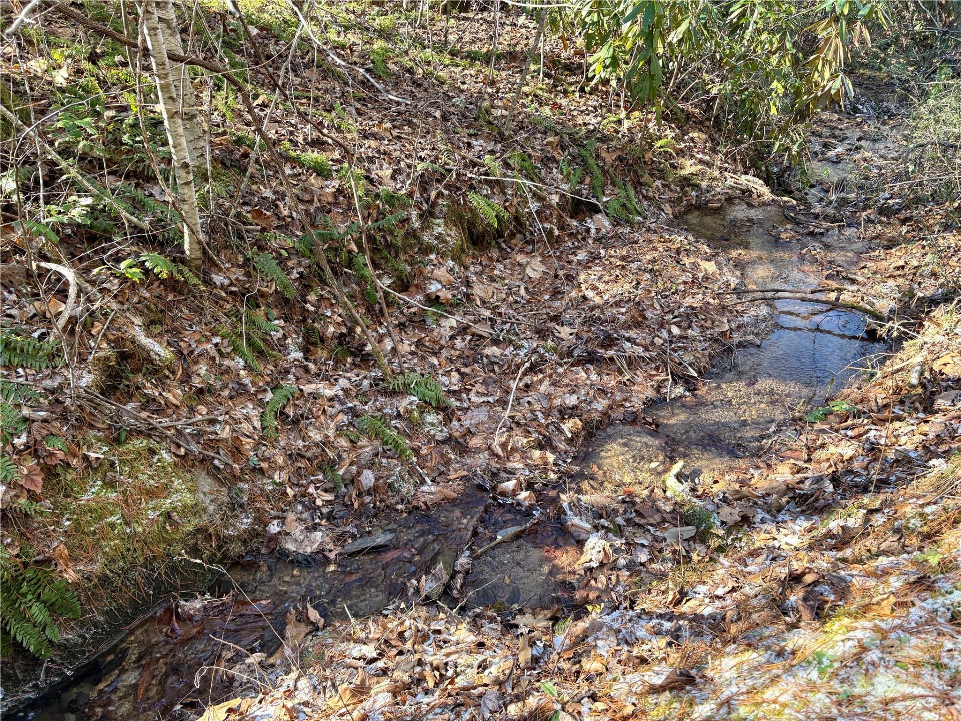 Property image 1 at 0 Widgeon Way, Whittier, NC 28789