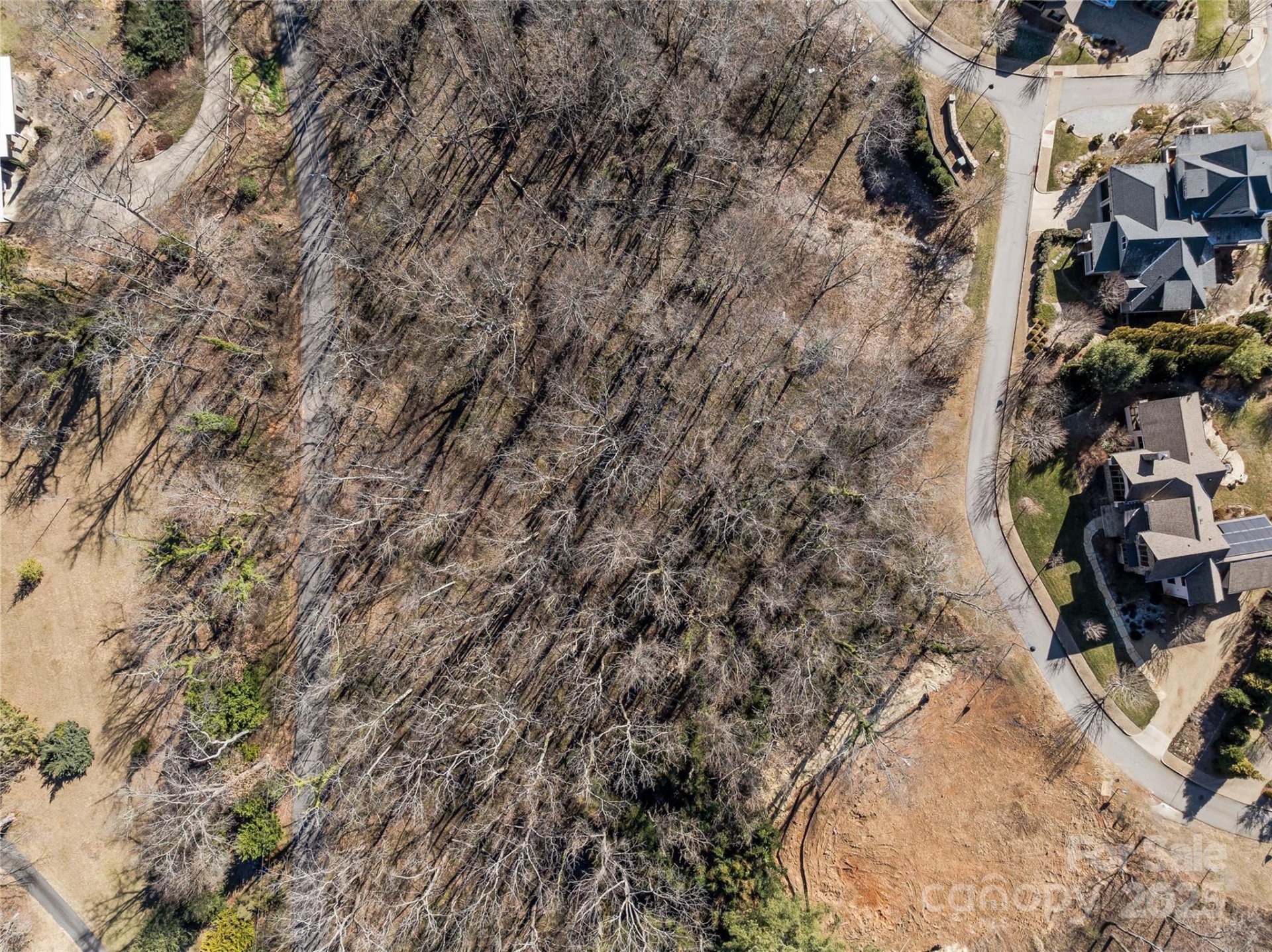 Property image 3 at 7 Kiftsgate Court, Asheville, NC 28804