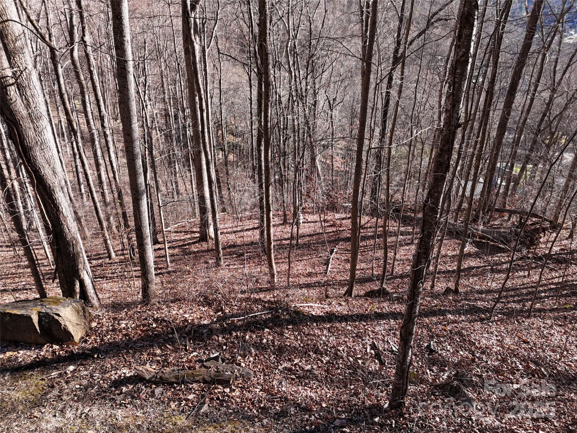 Property image 3 at 0000 Greenview Drive, Maggie Valley, NC 28751