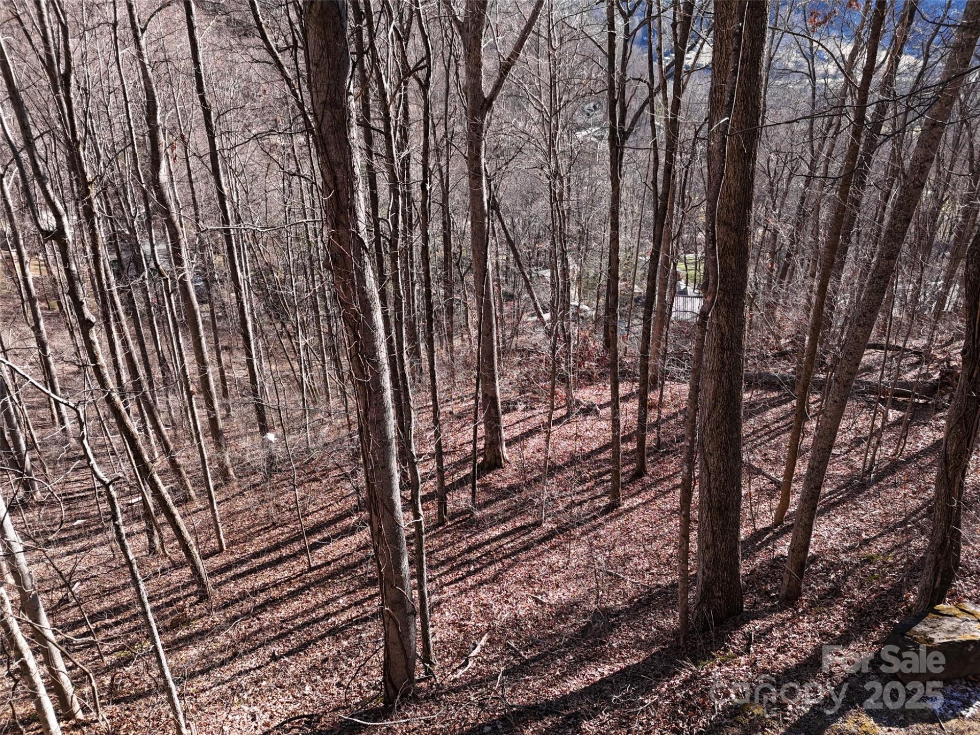 Property image 5 at 0000 Greenview Drive, Maggie Valley, NC 28751