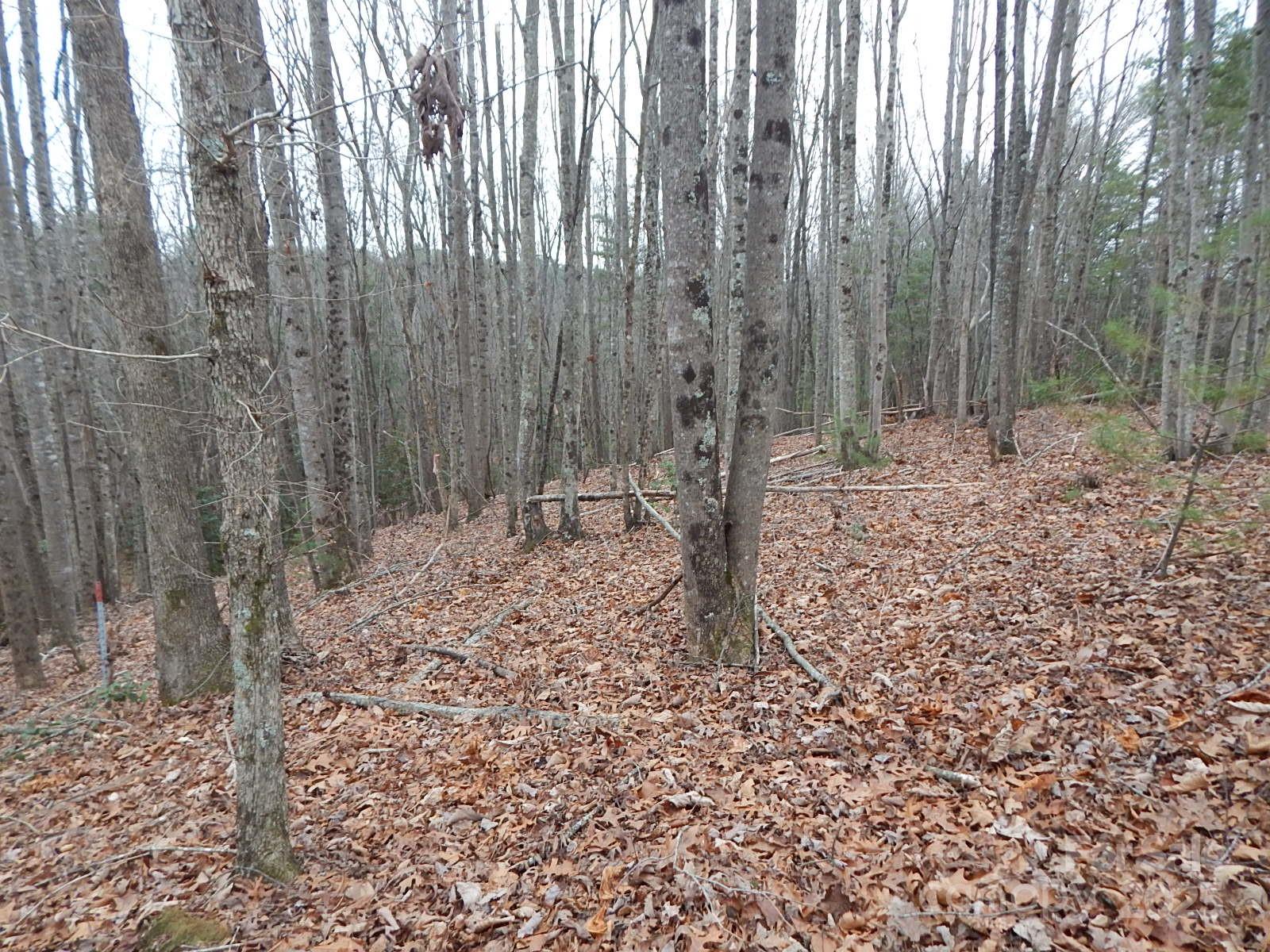 Property image 1 at 1061 Round Rock Road, Lenoir, NC 28645