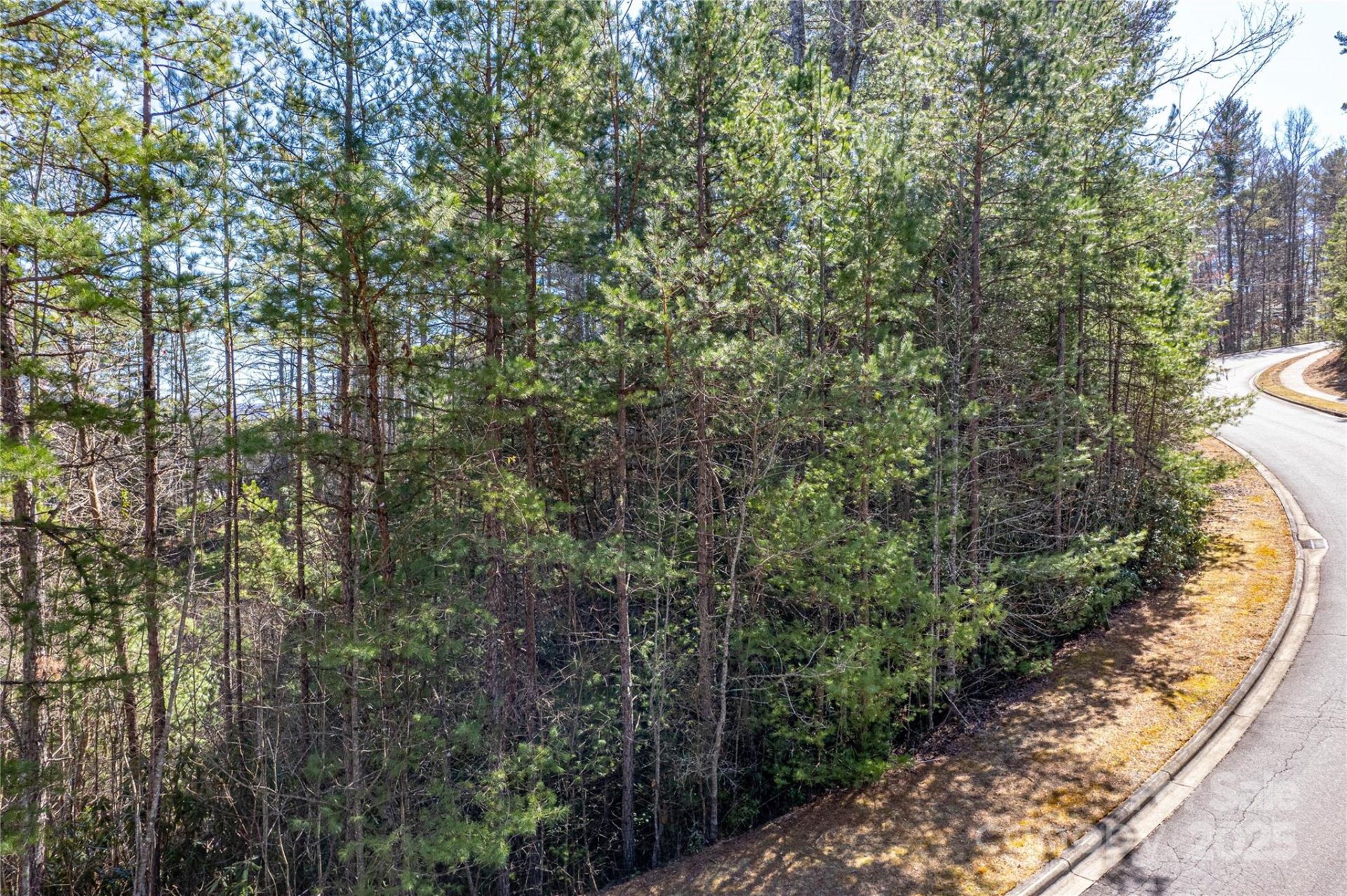 Property image 2 at Tbd Camptown Road, Brevard, NC 28712