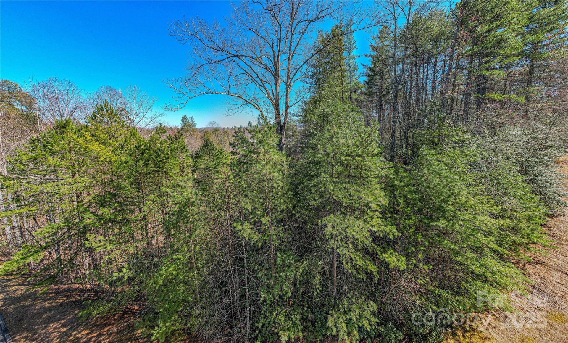 Property image 4 at Tbd Camptown Road, Brevard, NC 28712