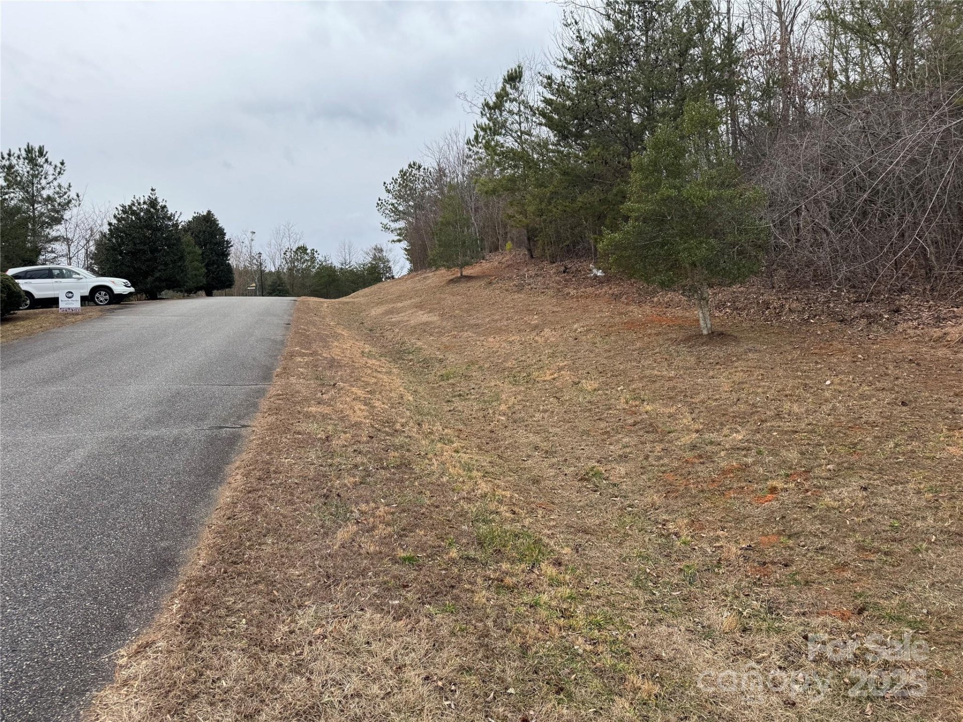 Property image 3 at 00 Stonecrest Parkway, Mill Spring, NC 28756