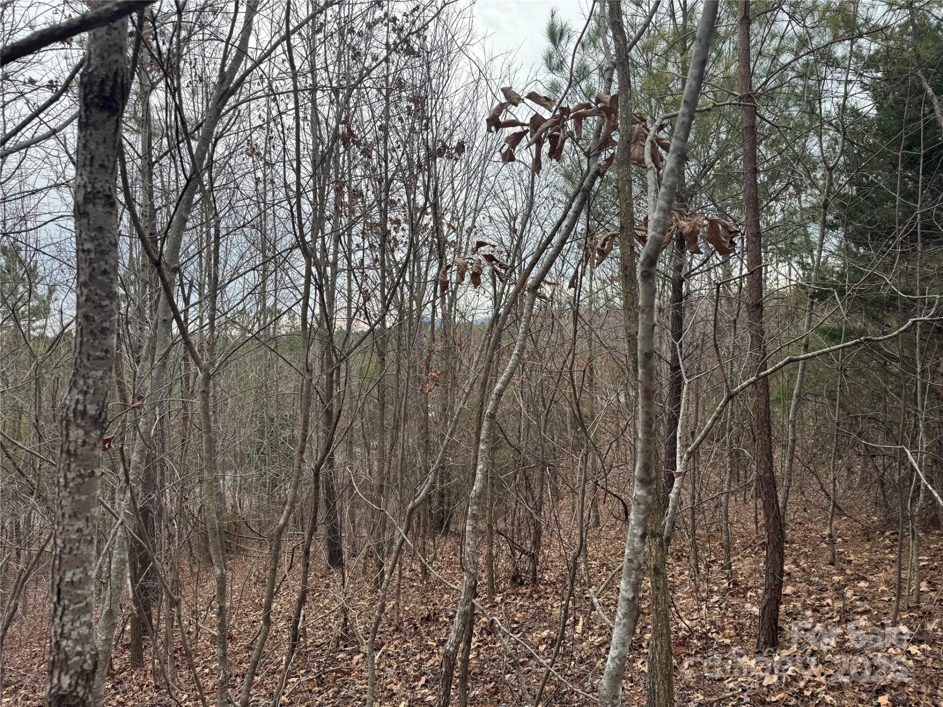 Property image 5 at 00 Stonecrest Parkway, Mill Spring, NC 28756