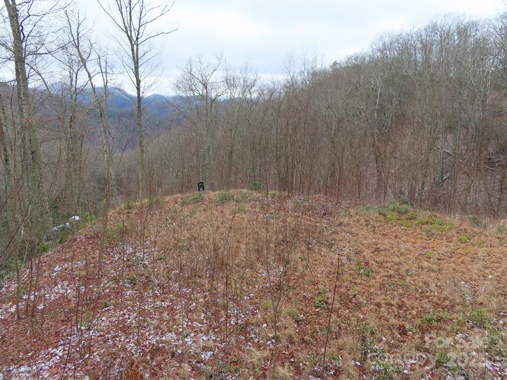 Property image 5 at 92 Alarka Highlands Road, Bryson City, NC 28713