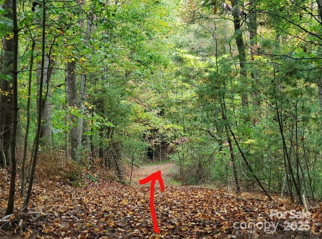 Property image 3 at 00 Hickory Wood Trail, Hendersonville, NC 28739