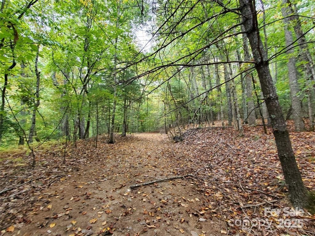 Property image 4 at 00 Hickory Wood Trail, Hendersonville, NC 28739