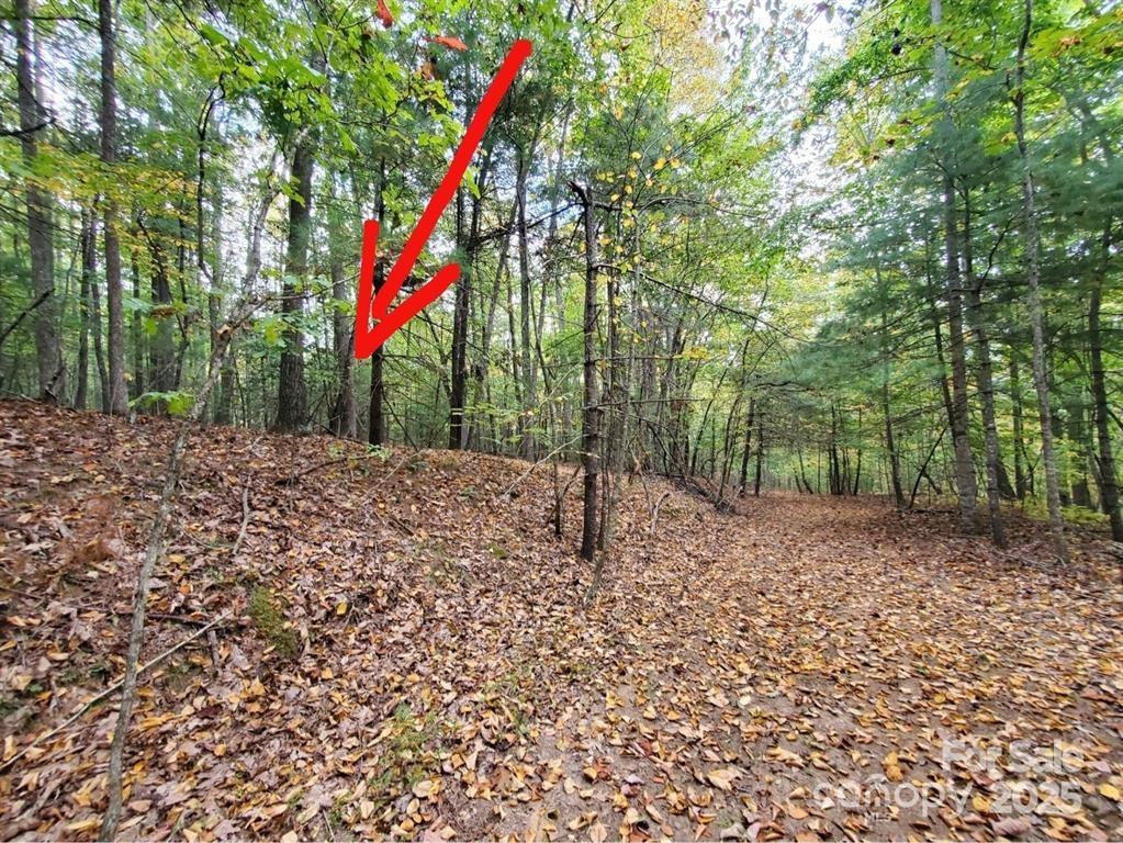 Property image 5 at 00 Hickory Wood Trail, Hendersonville, NC 28739
