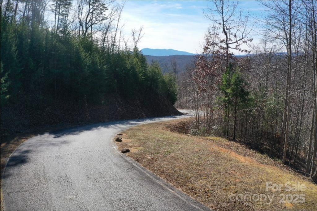 Property image 5 at 638 Rock Ledge Drive, Lake Lure, NC 28746