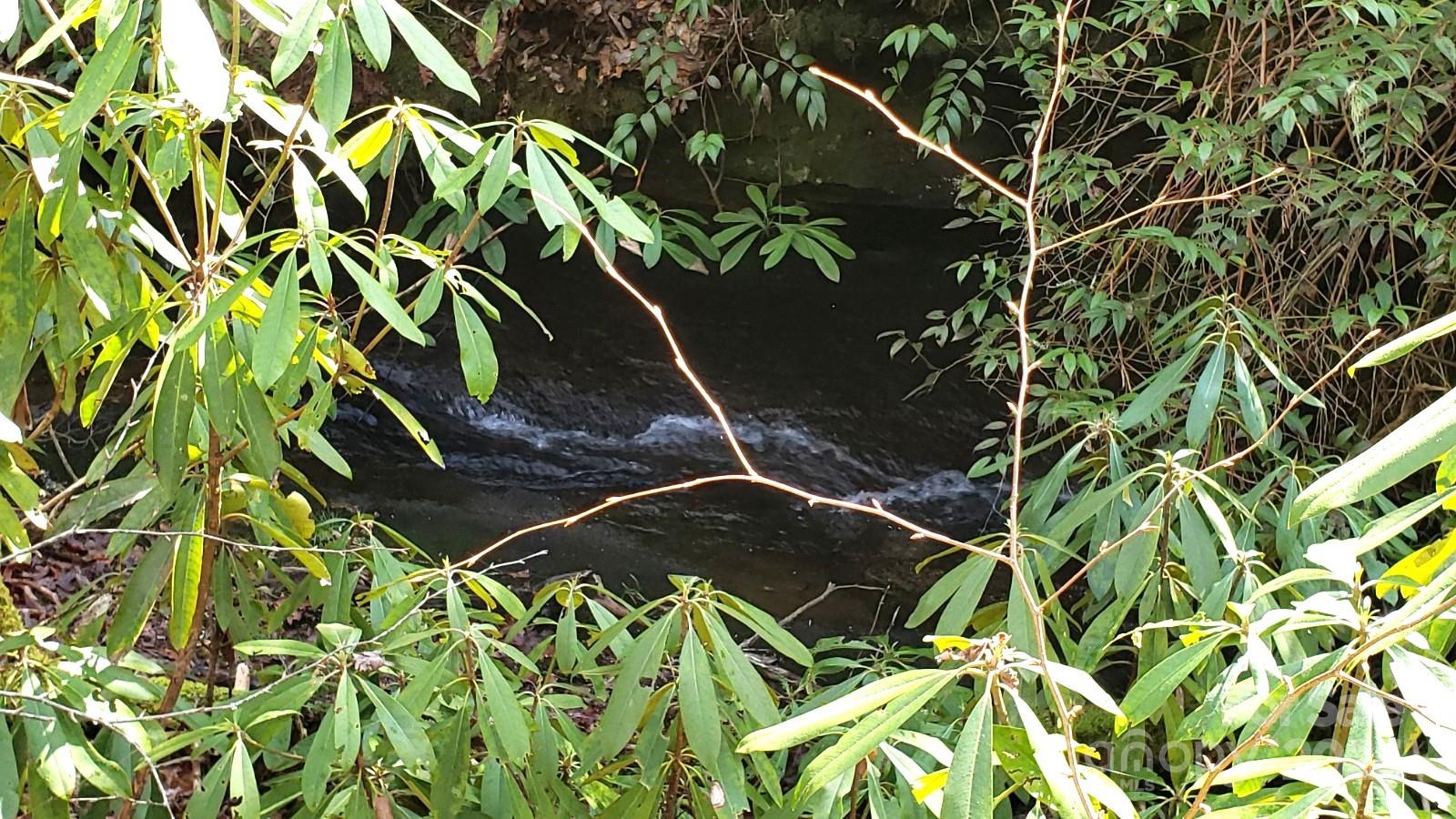 Property at 9999 Poplar Lane, Brevard, NC 28712