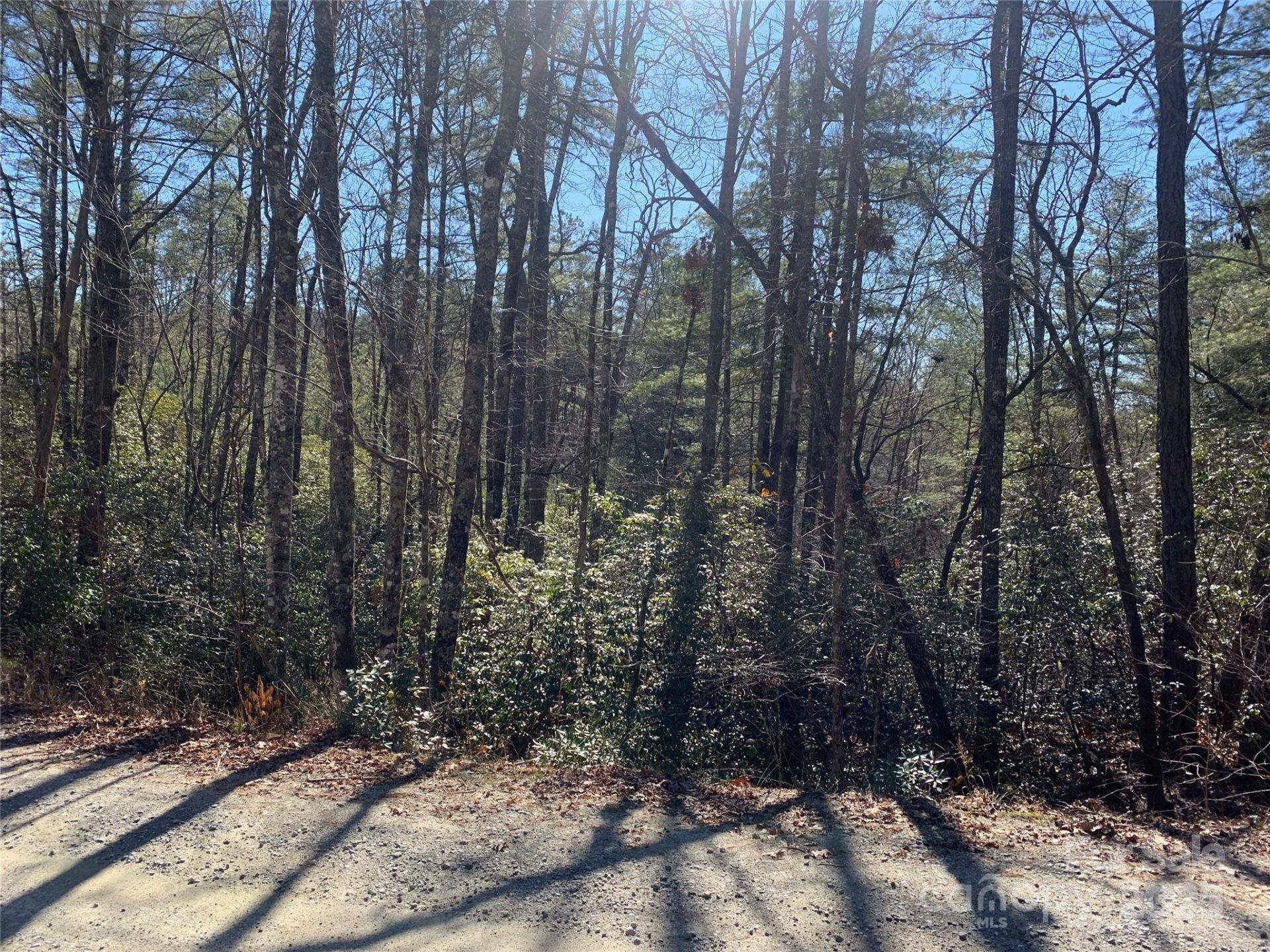 Property image 2 at Tbd Oak Laurel Road, Brevard, NC 28712