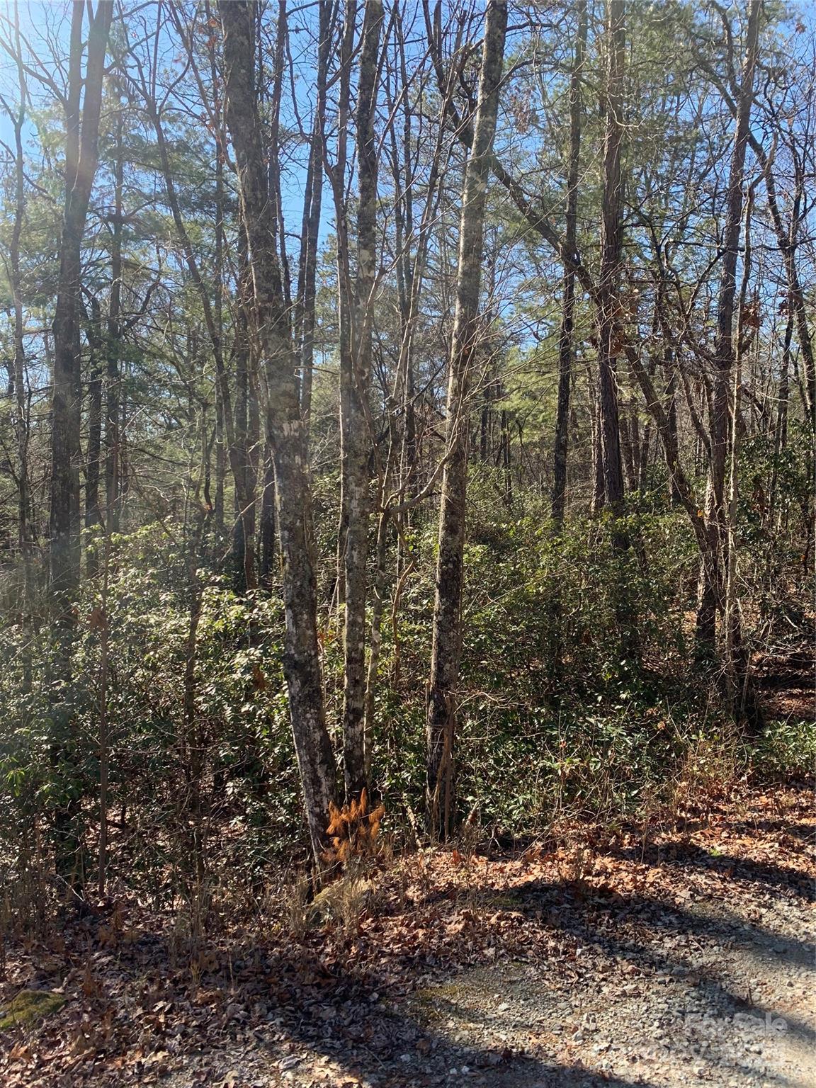 Property image 3 at Tbd Oak Laurel Road, Brevard, NC 28712
