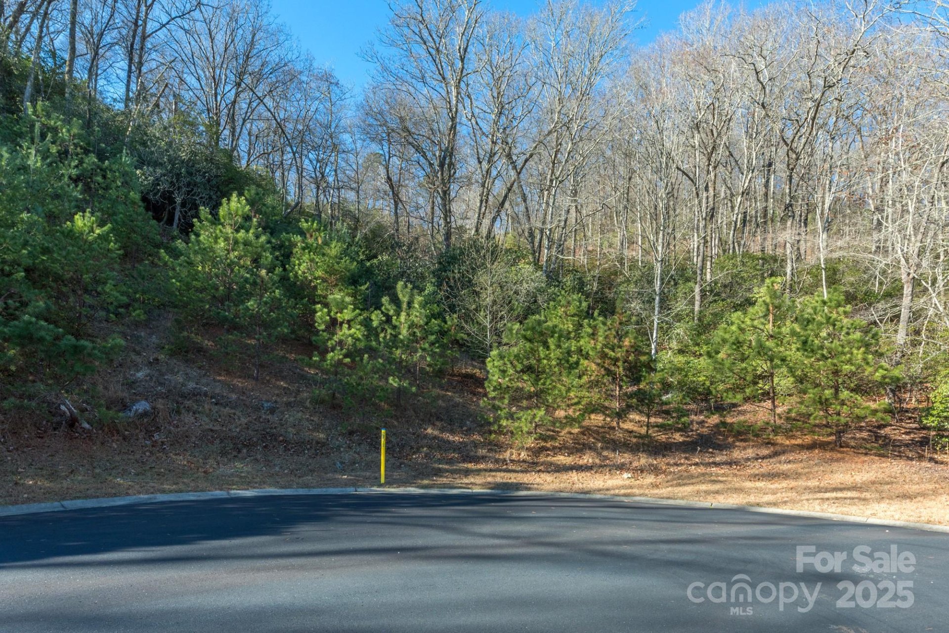 Property image 3 at 9999 Mayfly Lane, Horse Shoe, NC 28742