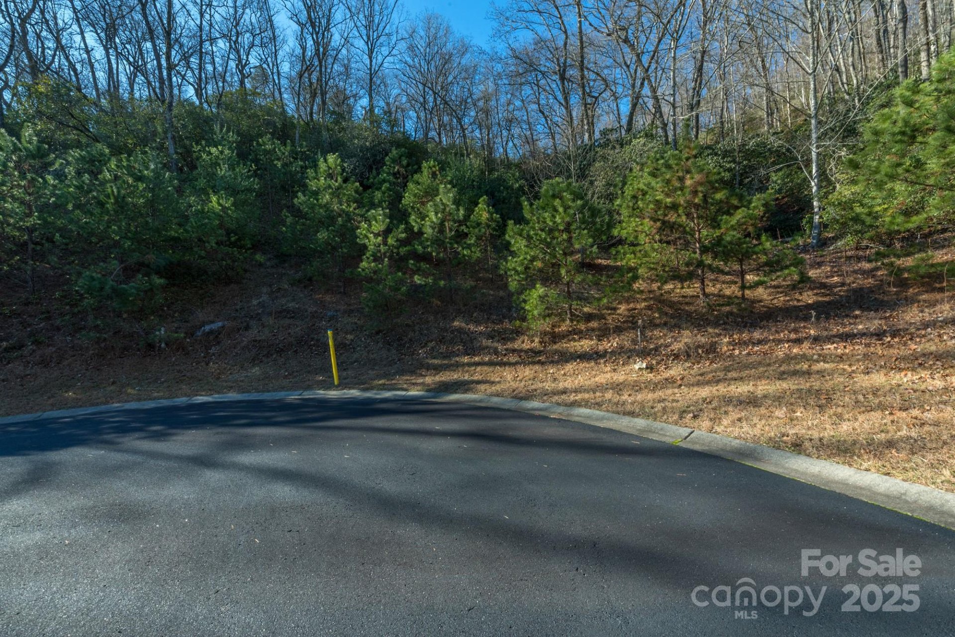 Property image 4 at 9999 Mayfly Lane, Horse Shoe, NC 28742