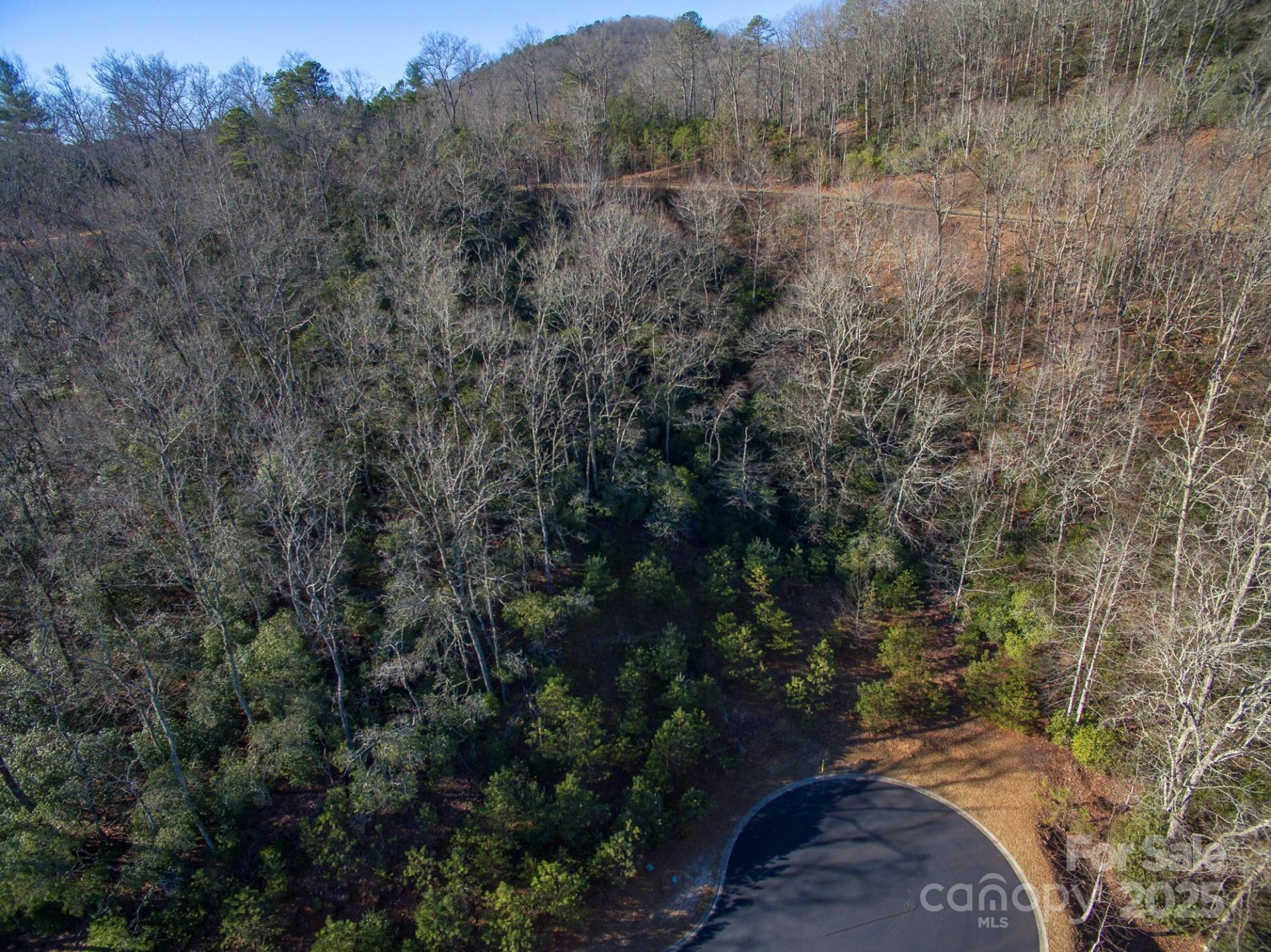 Property image 5 at 9999 Mayfly Lane, Horse Shoe, NC 28742