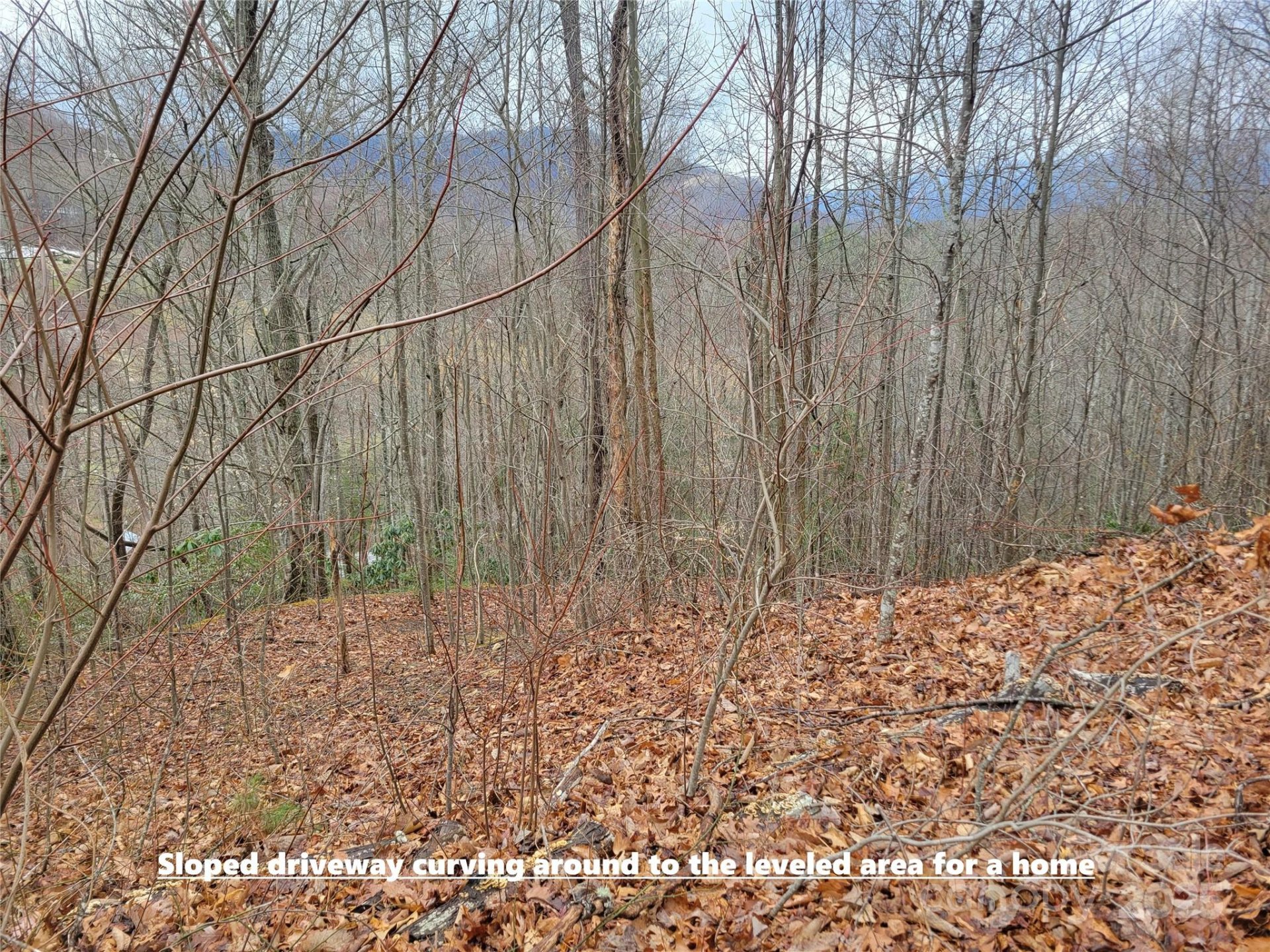 Property image 2 at 20 Magnolia Way, Waynesville, NC 28786