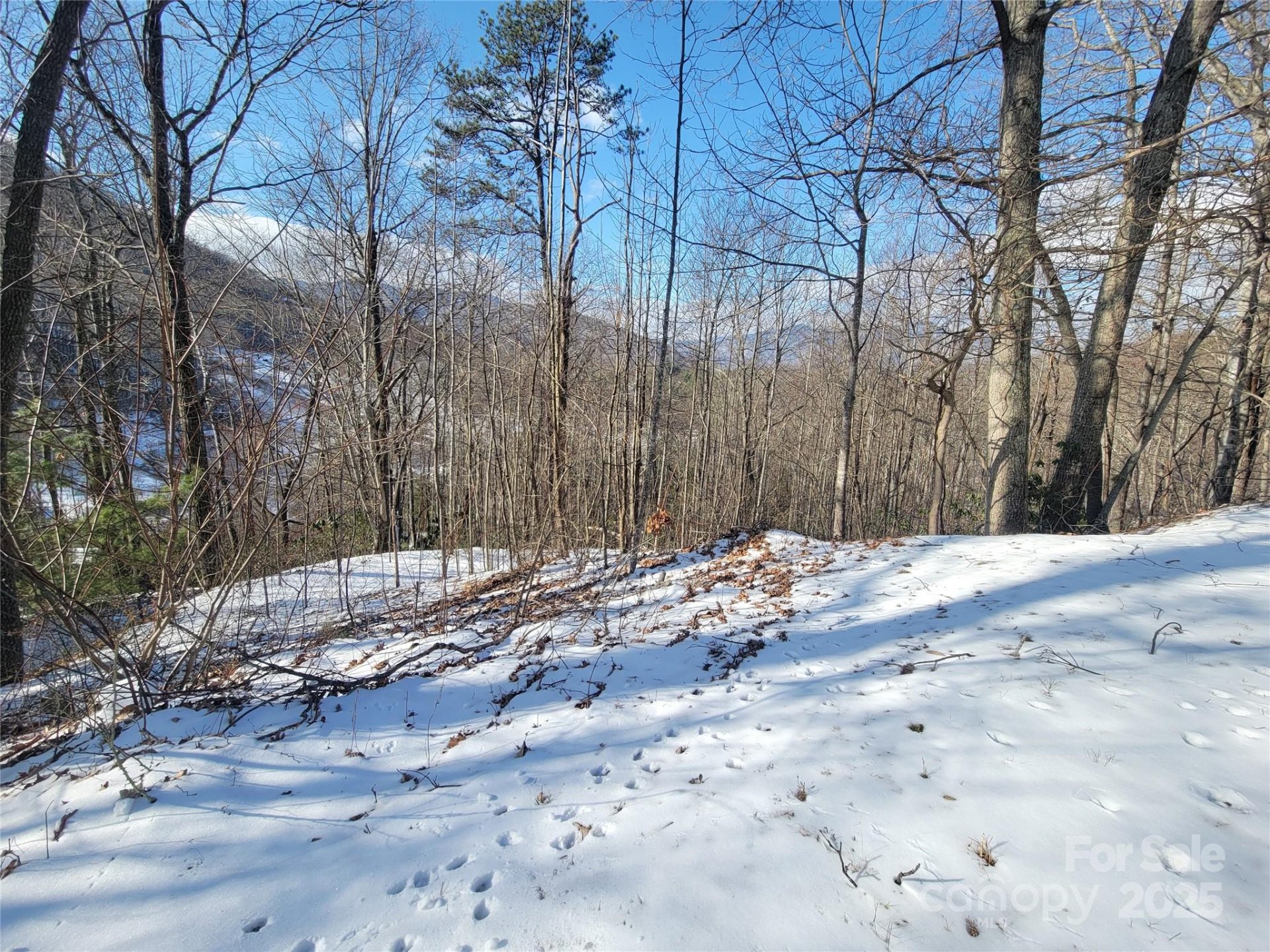 Property image 3 at 20 Magnolia Way, Waynesville, NC 28786
