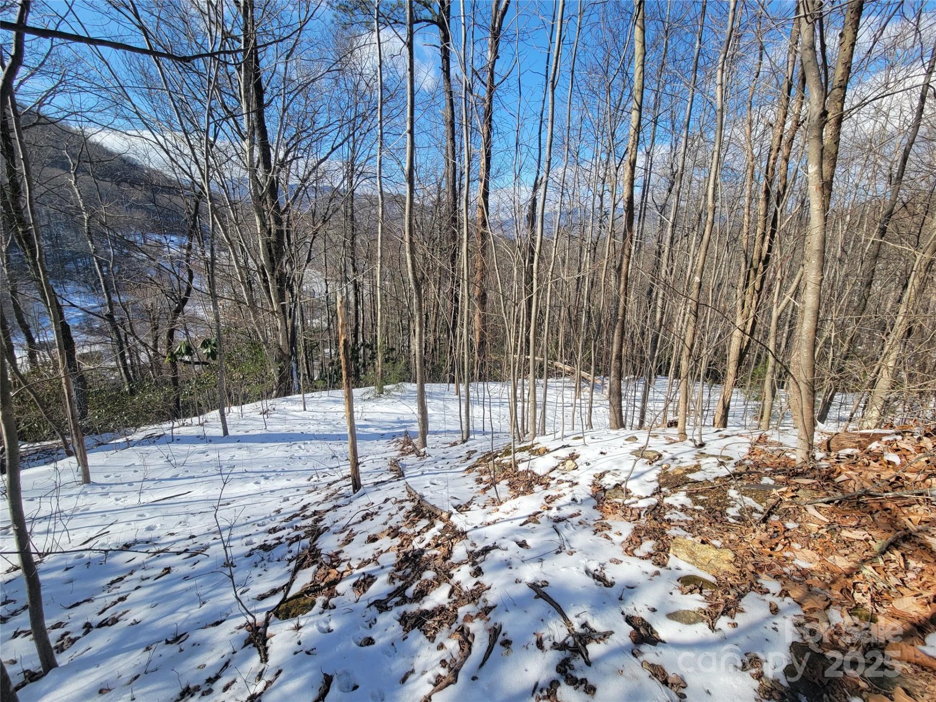 Property image 4 at 20 Magnolia Way, Waynesville, NC 28786