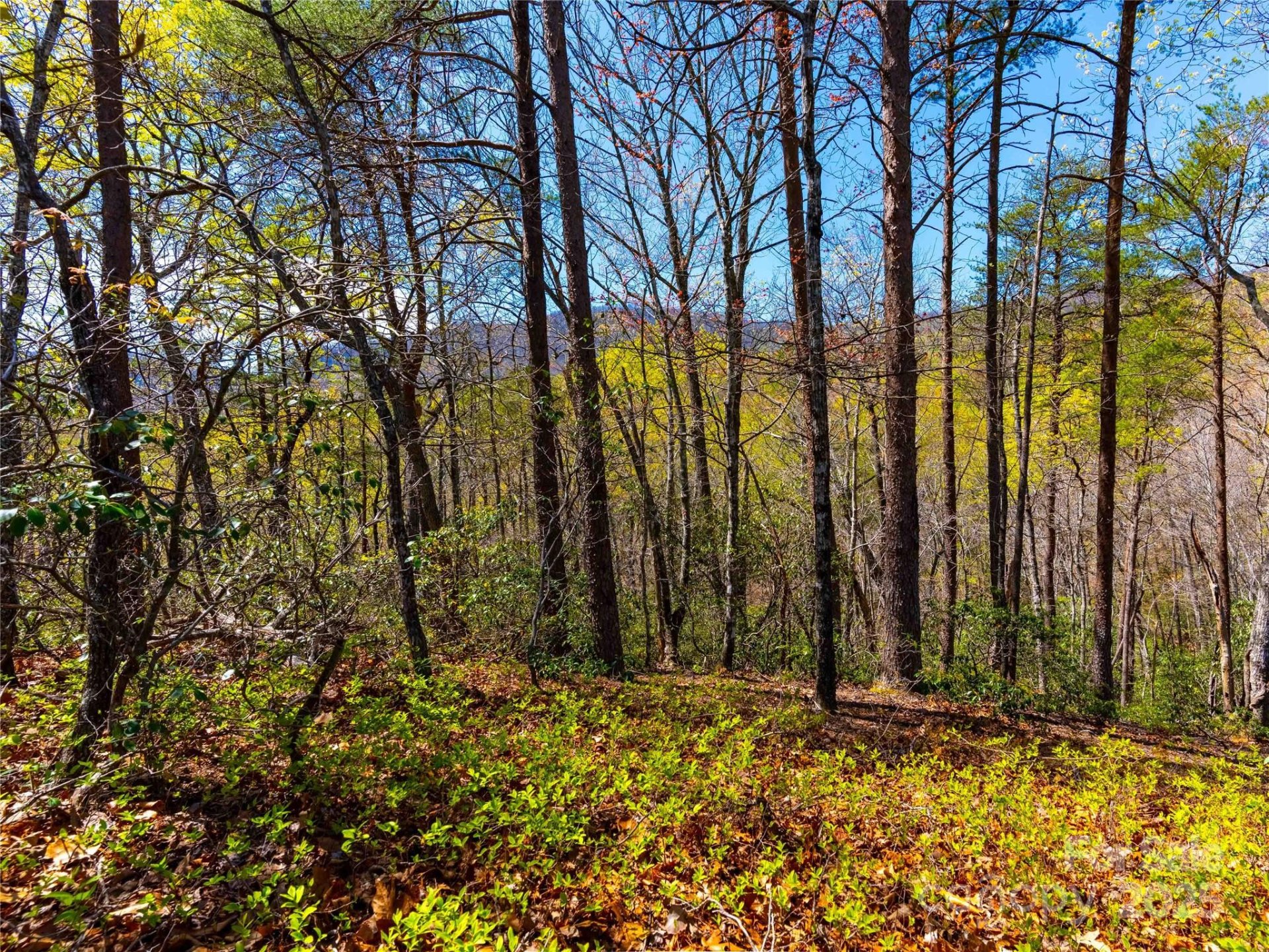 107 Deep Gap Road