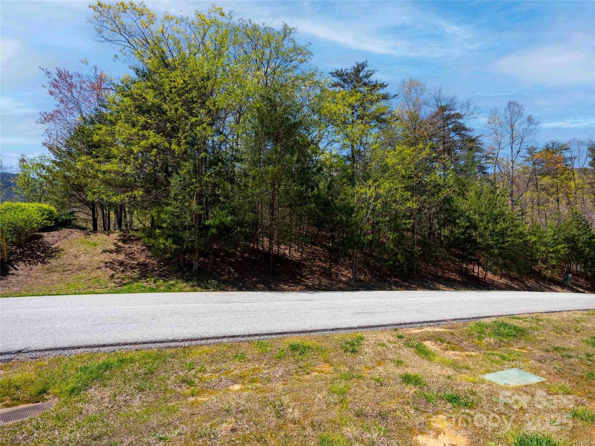 Property image 4 at 107 Deep Gap Road, Mill Spring, NC 28756