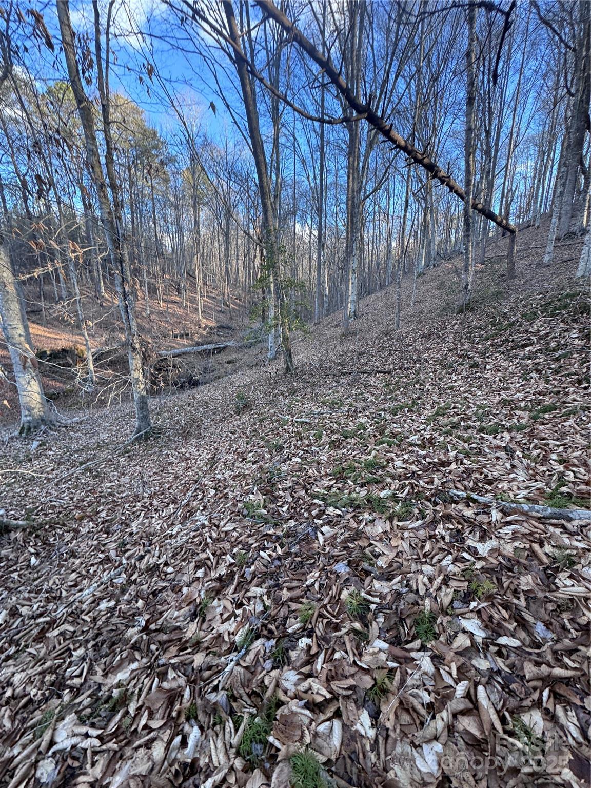Property image 2 at 0 Creekside Circle, Rutherfordton, NC 28139