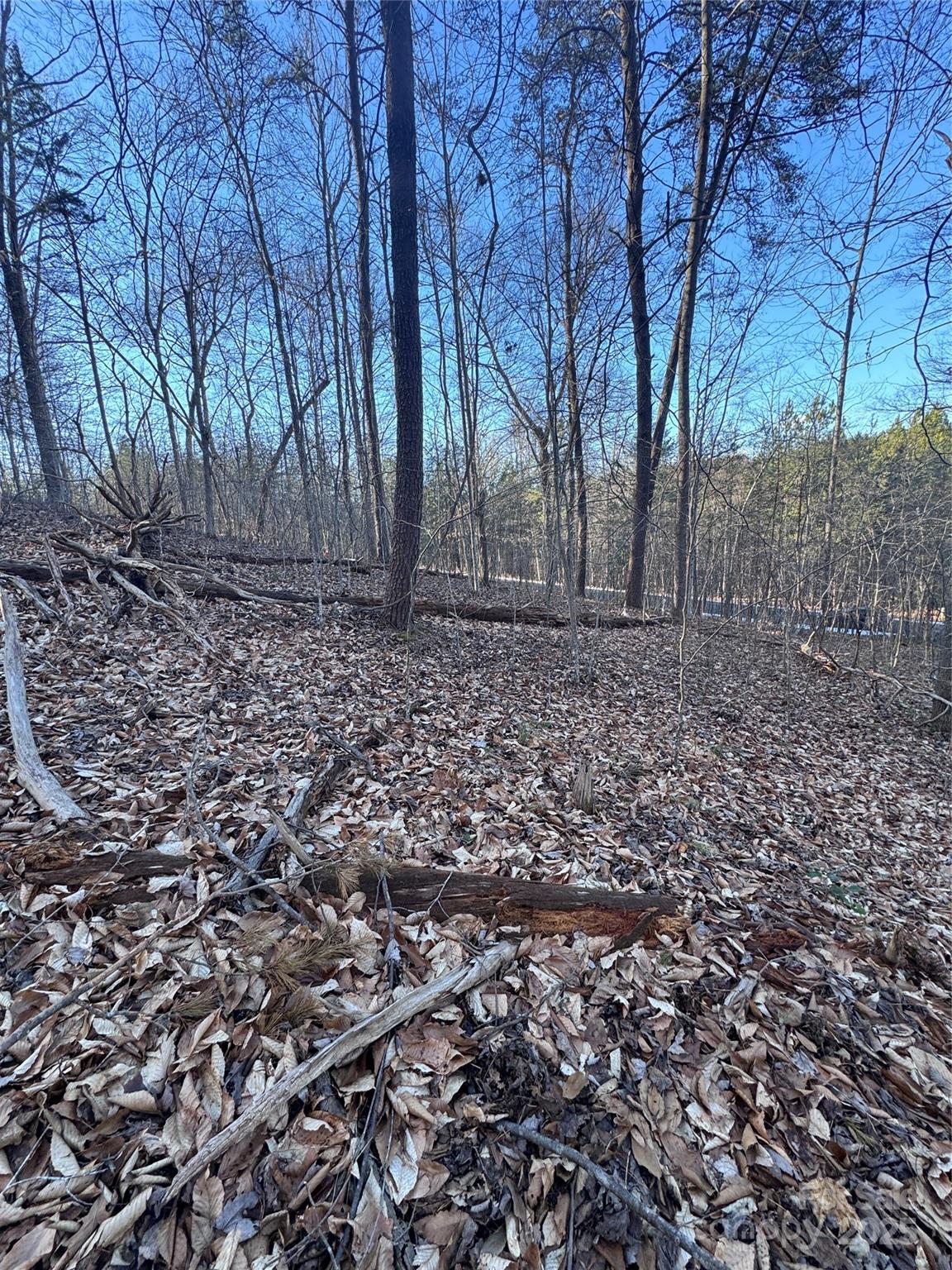 Property image 3 at 0 Creekside Circle, Rutherfordton, NC 28139