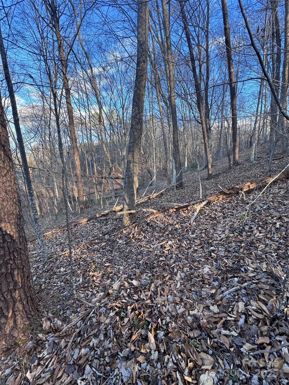Property image 5 at 0 Creekside Circle, Rutherfordton, NC 28139