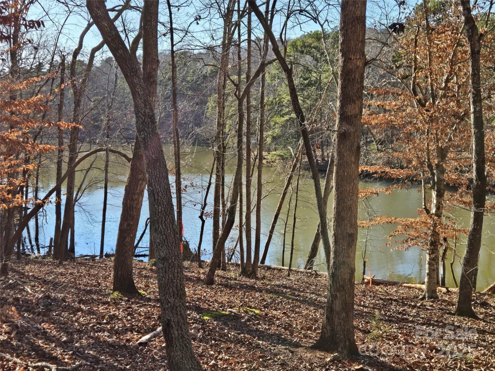 Property image 4 at 0 Whisper Lake Drive, Badin Lake, NC 28127