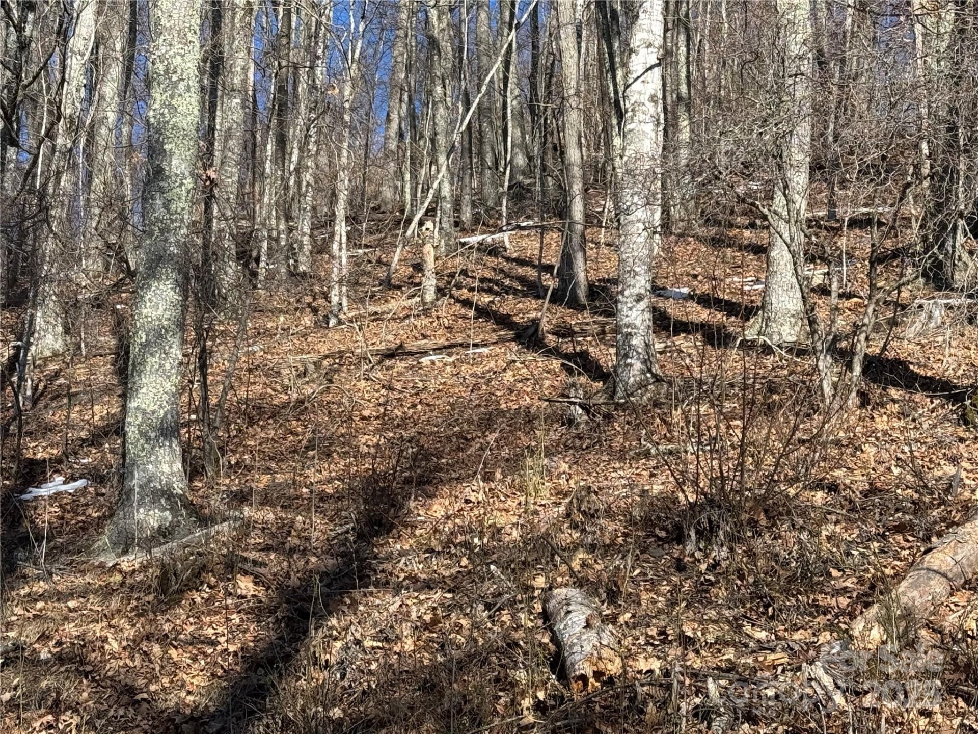 Property image 1 at 578 Glenaire Drive, Mars Hill, NC 28754