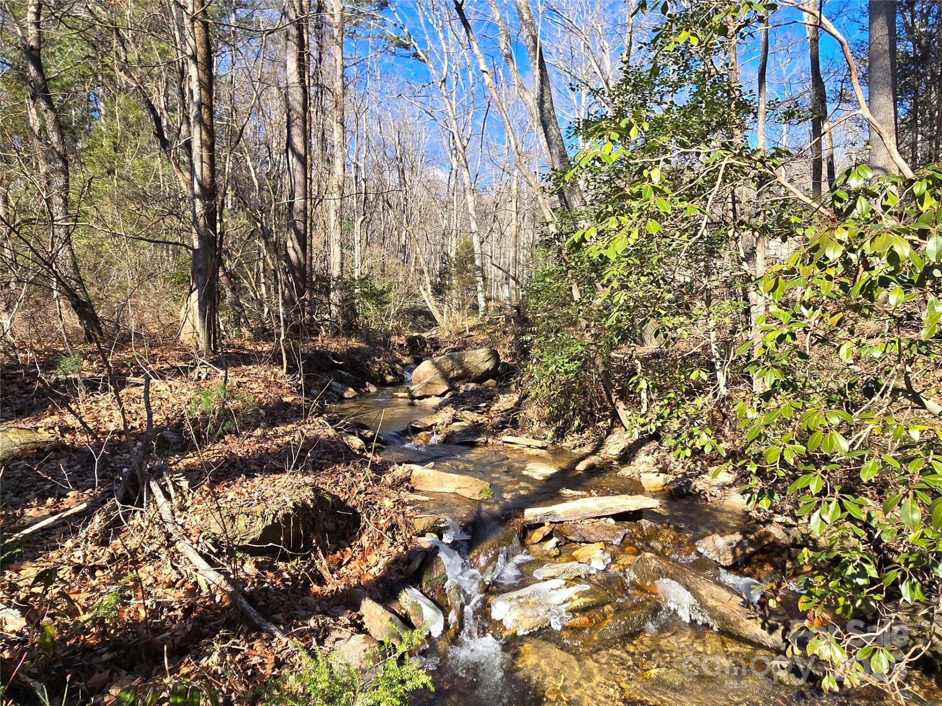 Lot 60 Chinquapin Road