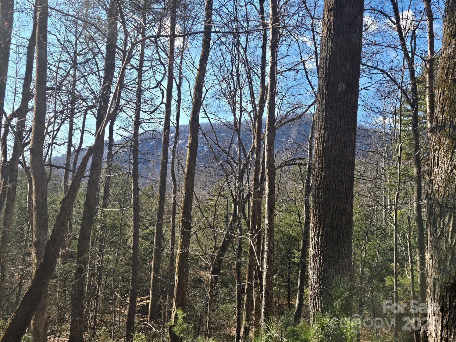 Property image 3 at Lot 60 Chinquapin Road, Lake Lure, NC 28746