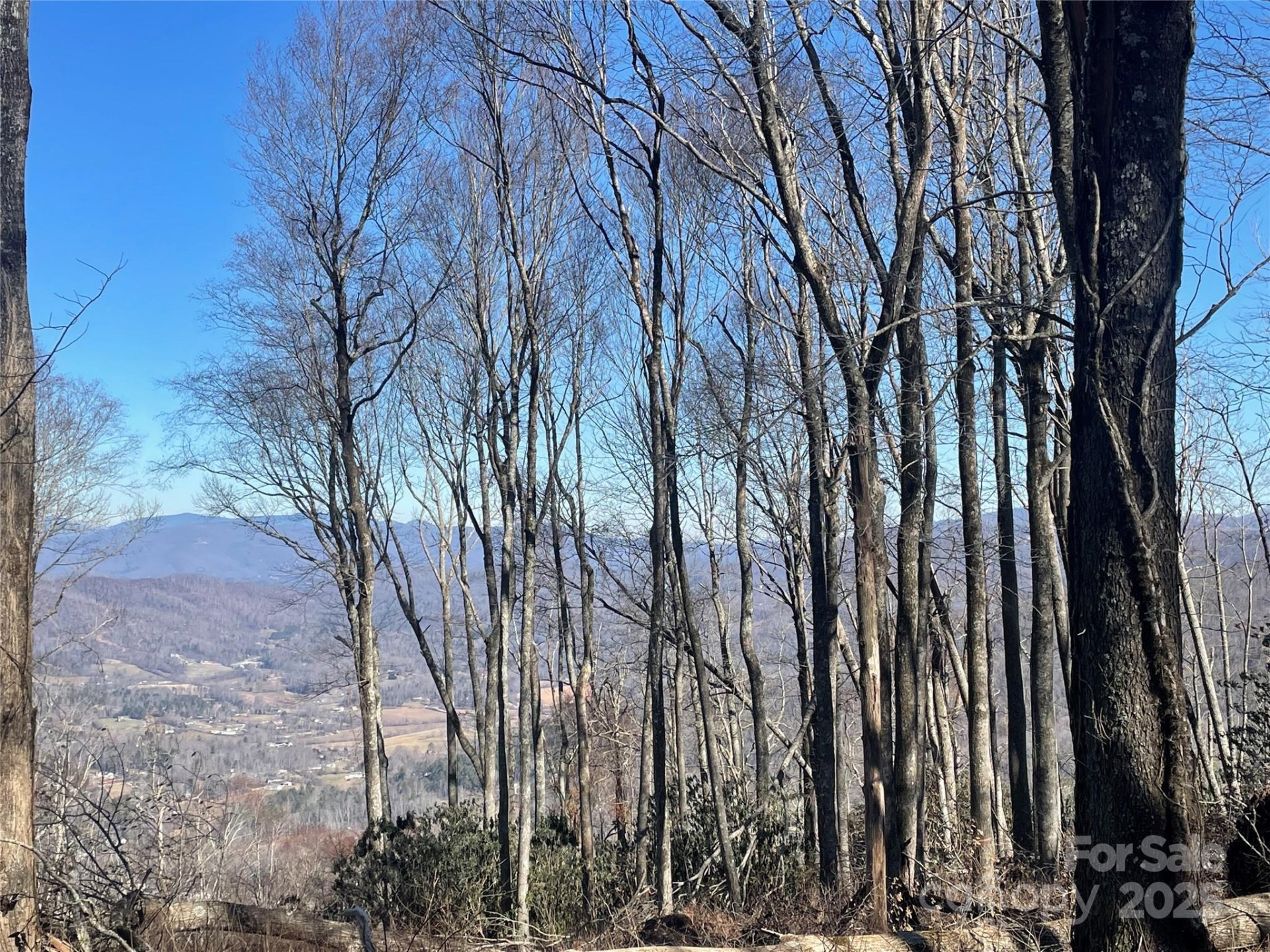 Lot 20 Laurel Ledge Way
