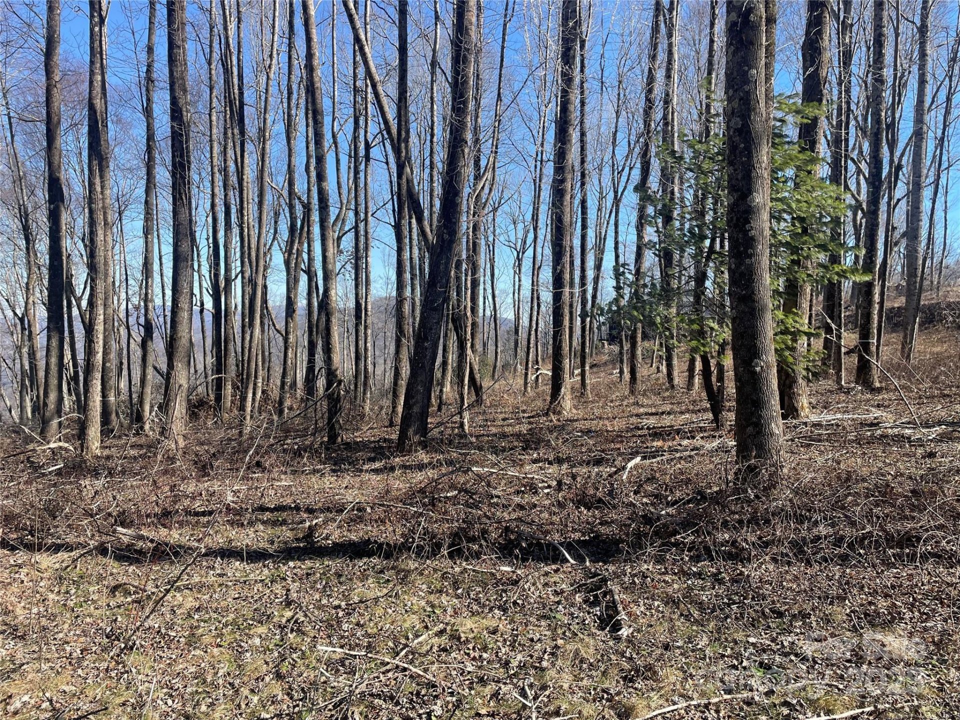 Property image 2 at Lot 20 Laurel Ledge Way, Fletcher, NC 28732