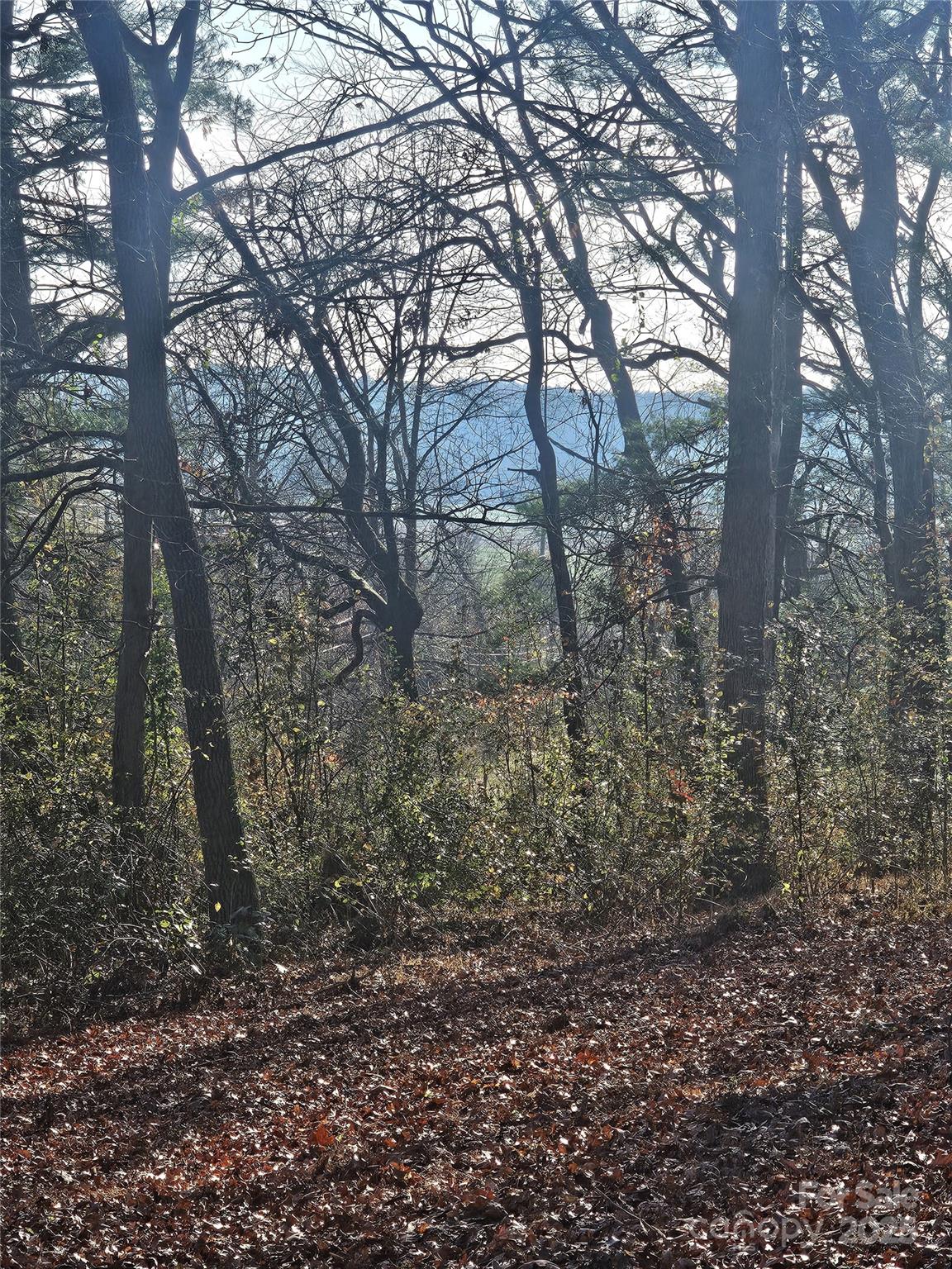 Property image 3 at 184 Majestic Ridge Road, Mills River, NC 28759
