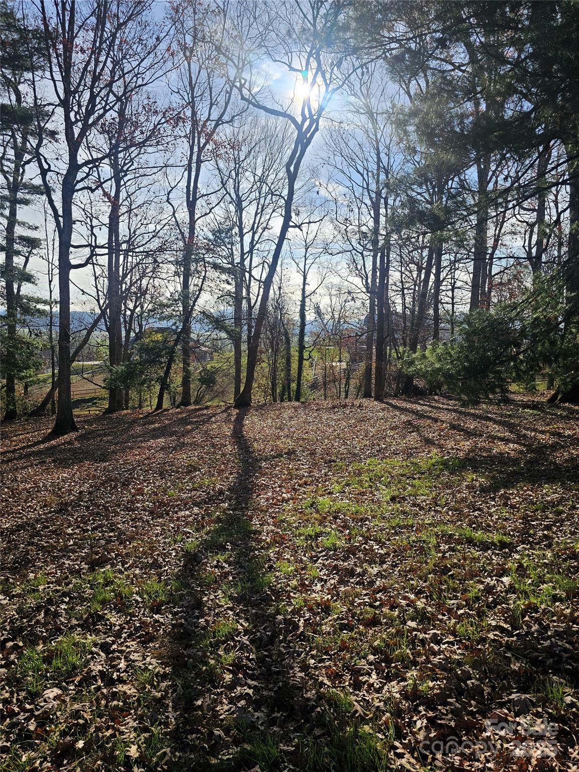 Property image 4 at 184 Majestic Ridge Road, Mills River, NC 28759