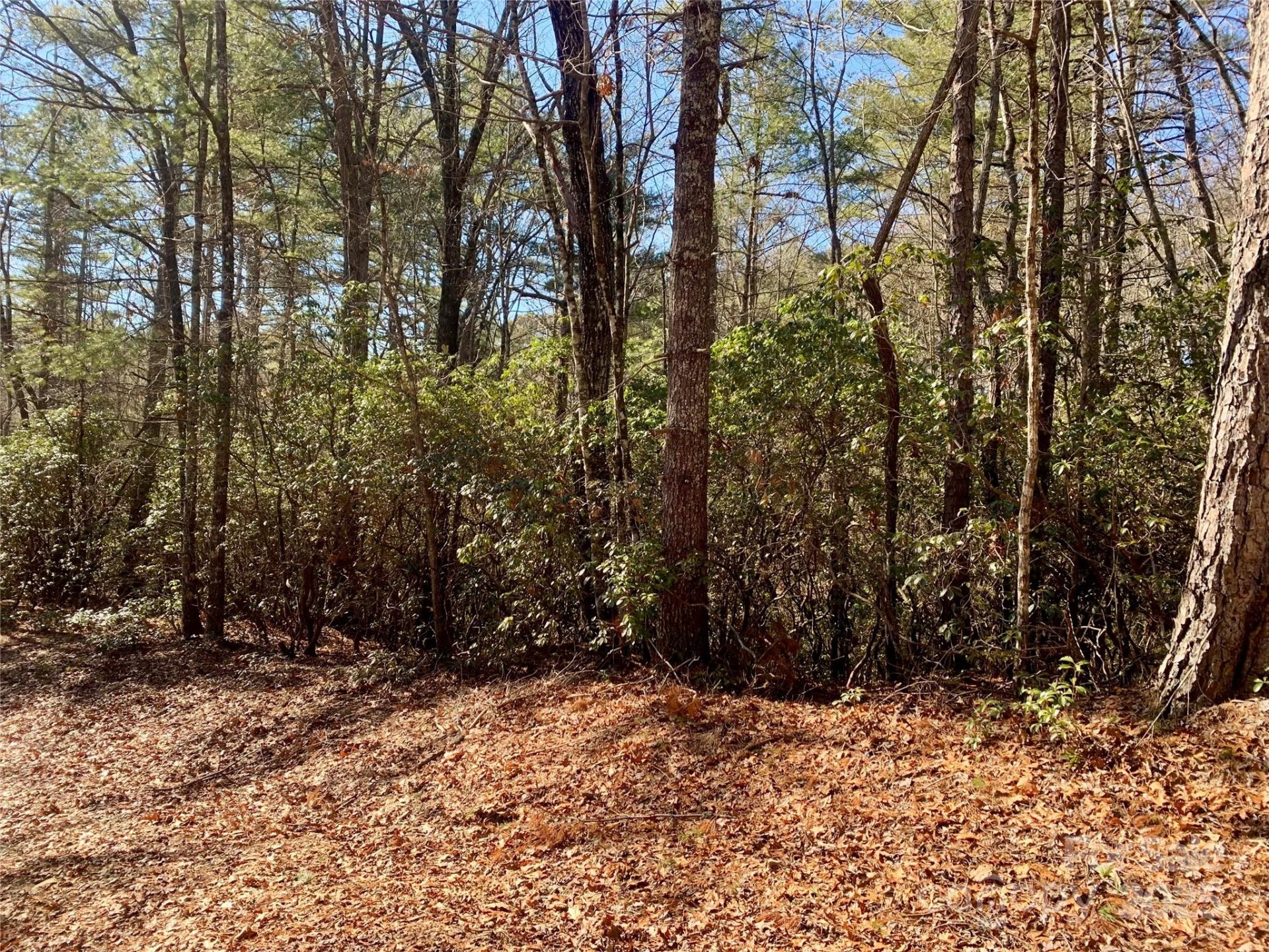 Property image 3 at Lot 18 Oak Ridge Drive, Brevard, NC 28712