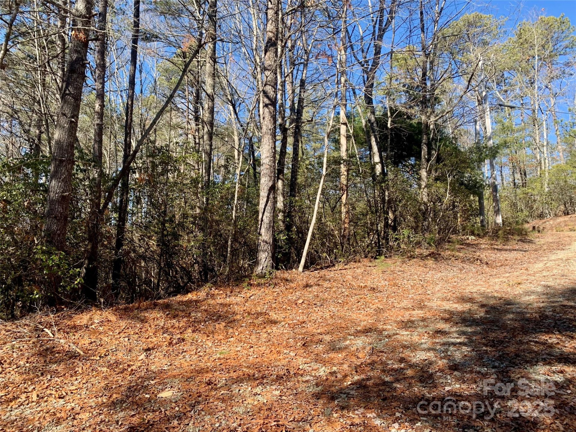 Property image 4 at Lot 18 Oak Ridge Drive, Brevard, NC 28712