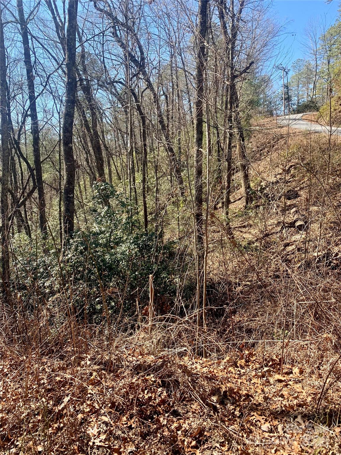 Lots 62 63 Oak Laurel Road