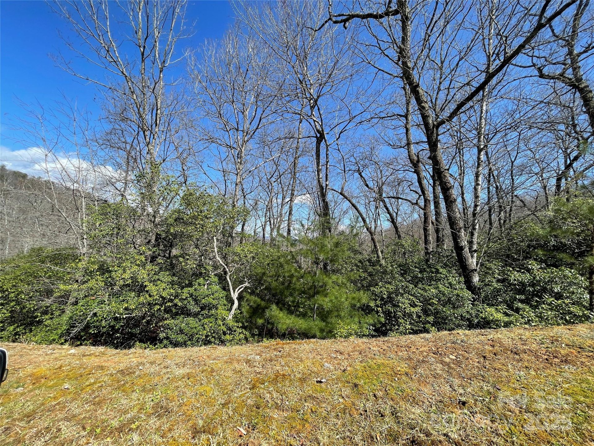 Lot 85 R N Running Deer Trail