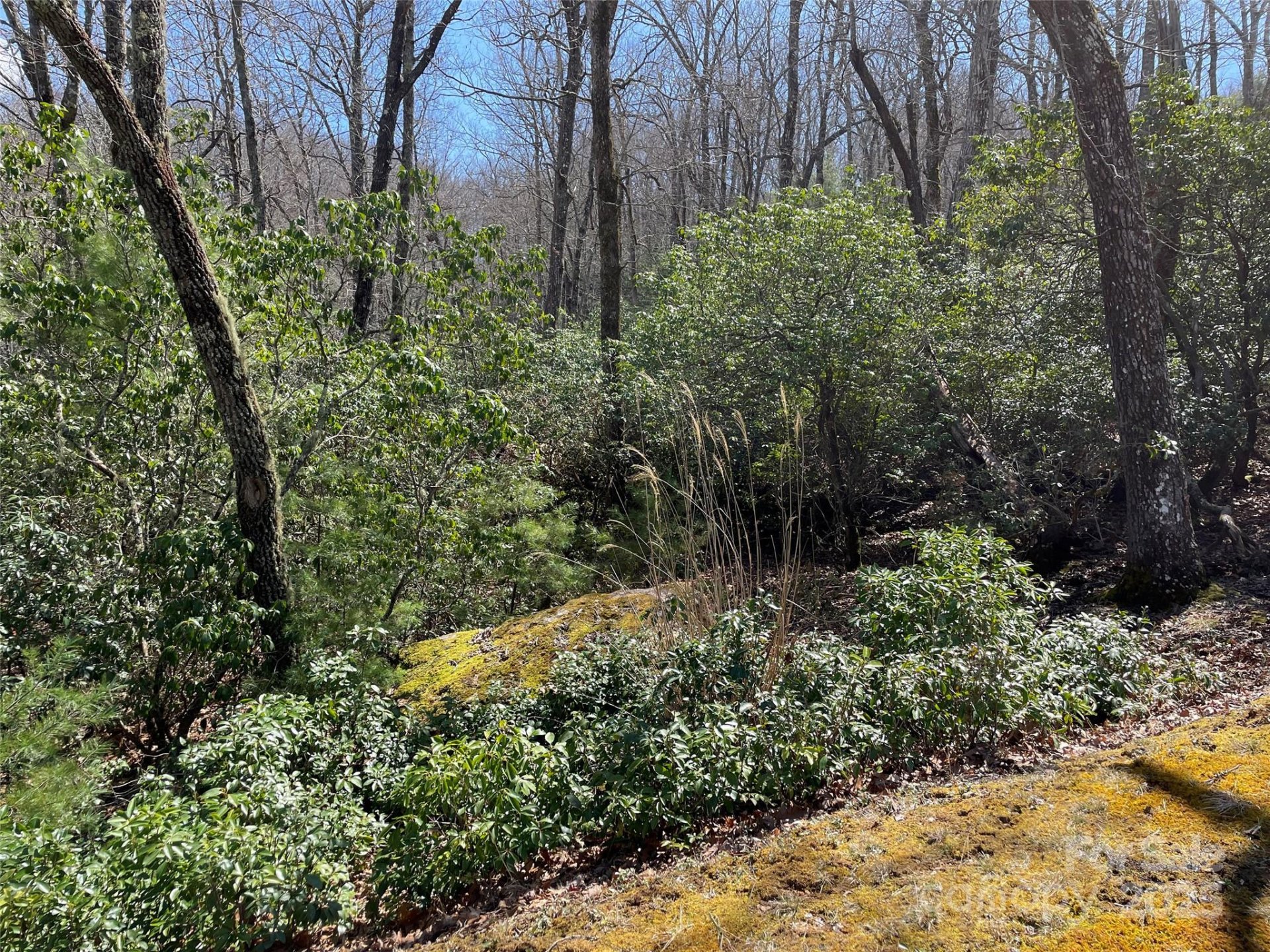 Property image 4 at Lot 85 R N Running Deer Trail, Horse Shoe, NC 28742