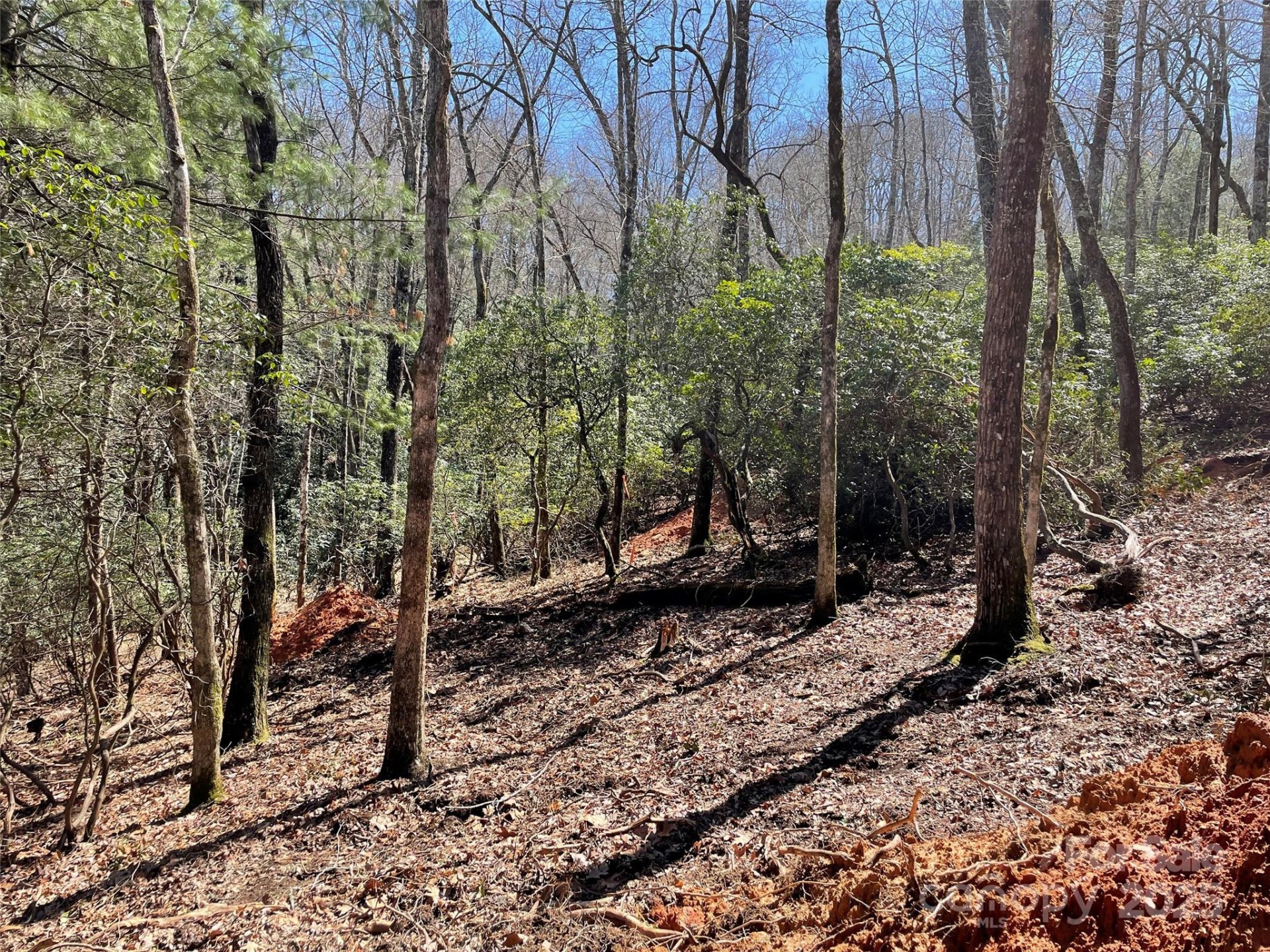 Property image 5 at Lot 85 R N Running Deer Trail, Horse Shoe, NC 28742
