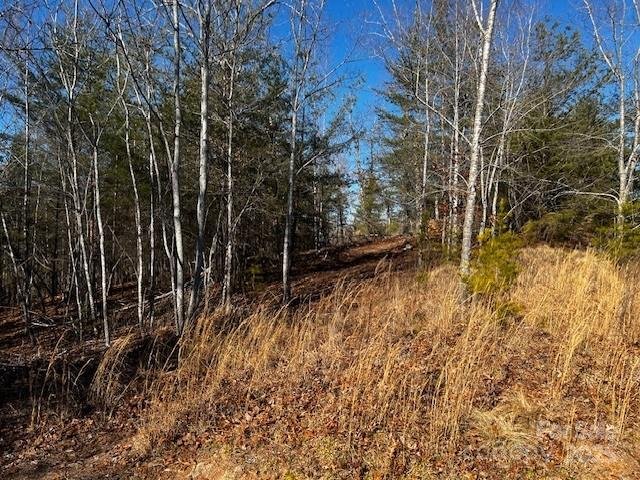 Property image 2 at Lot 37 N Mountain Lane, Mill Spring, NC 28756