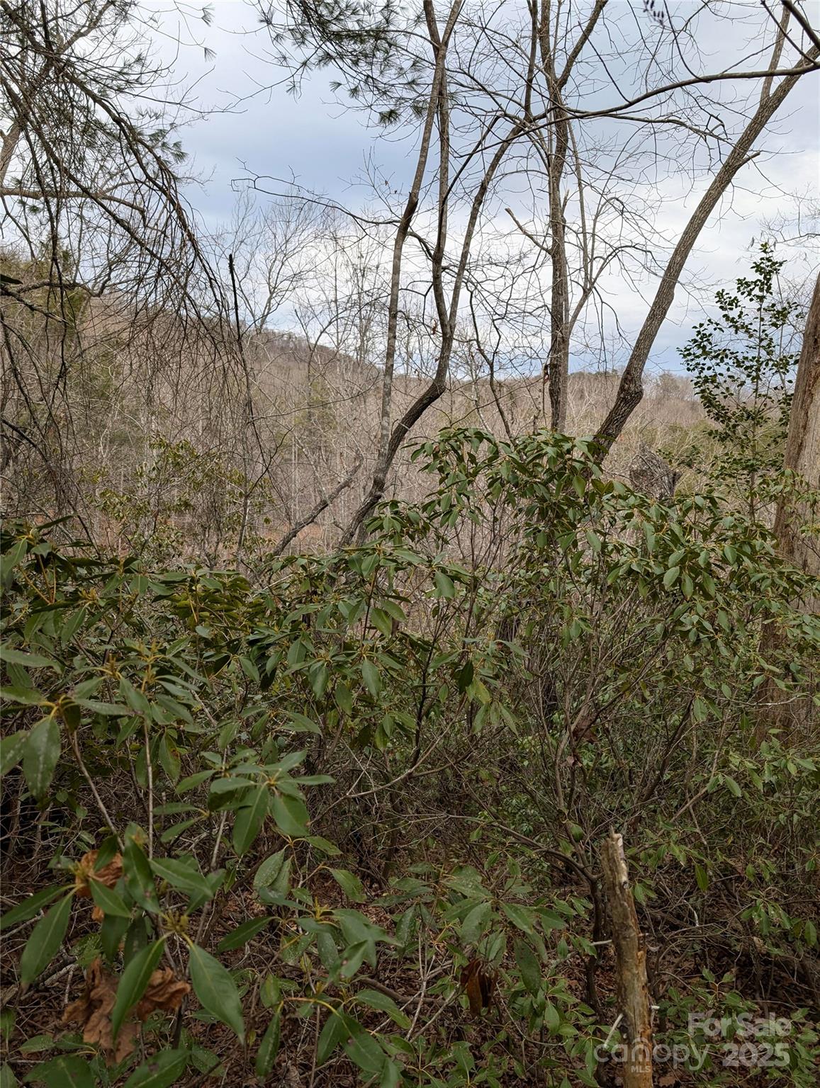Property image 2 at 0 Se Old Crows Drive, Lake Lure, NC 28746