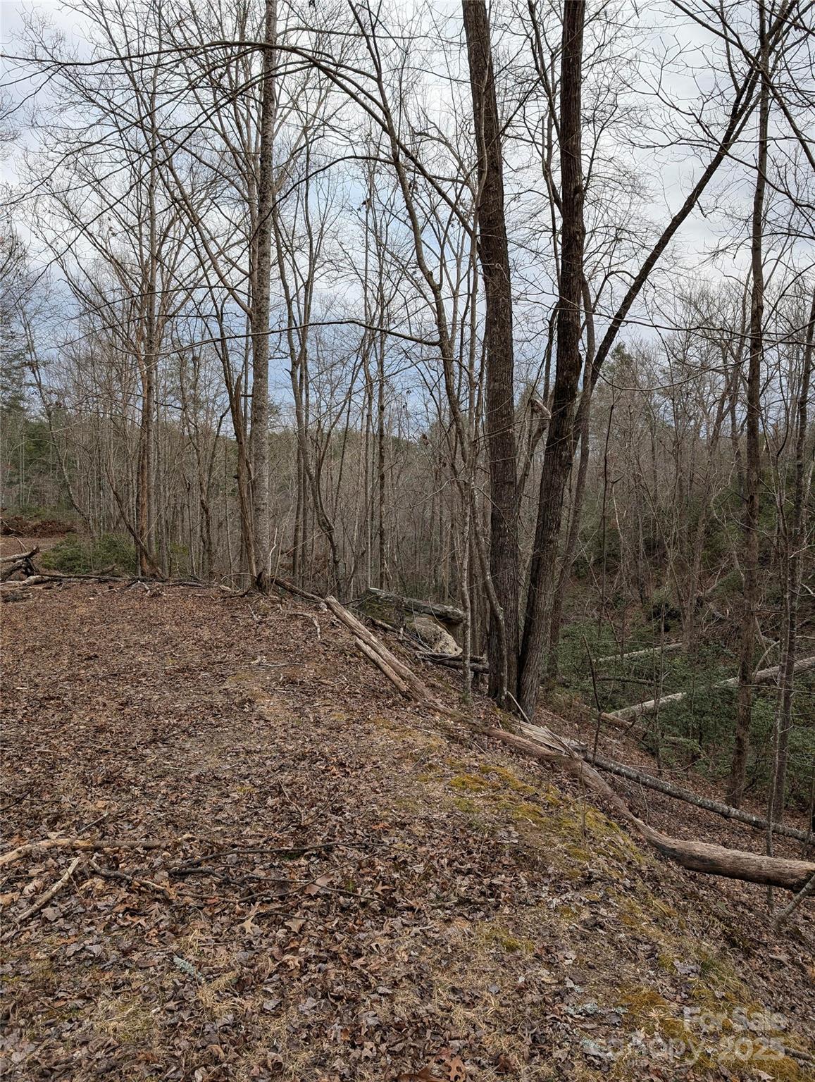 Property image 4 at 0 Se Old Crows Drive, Lake Lure, NC 28746