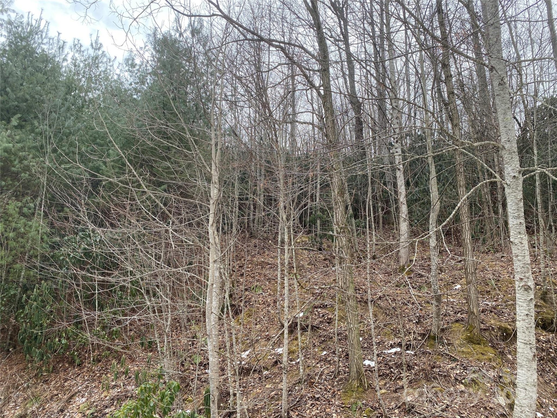 Property image 5 at Lot 1906 Preserve Court, Hendersonville, NC 28791