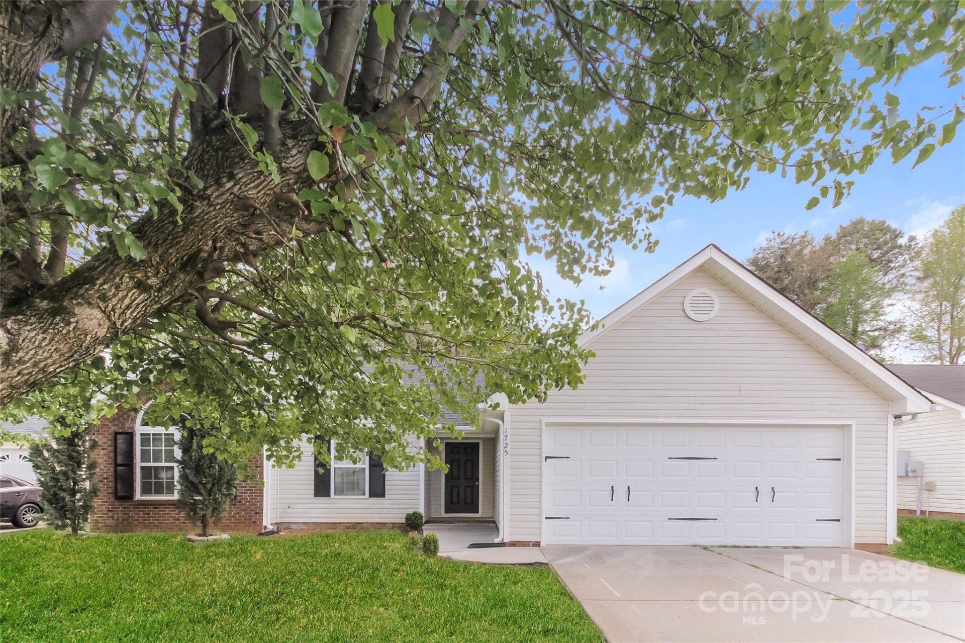 1725 Clooney Lane
