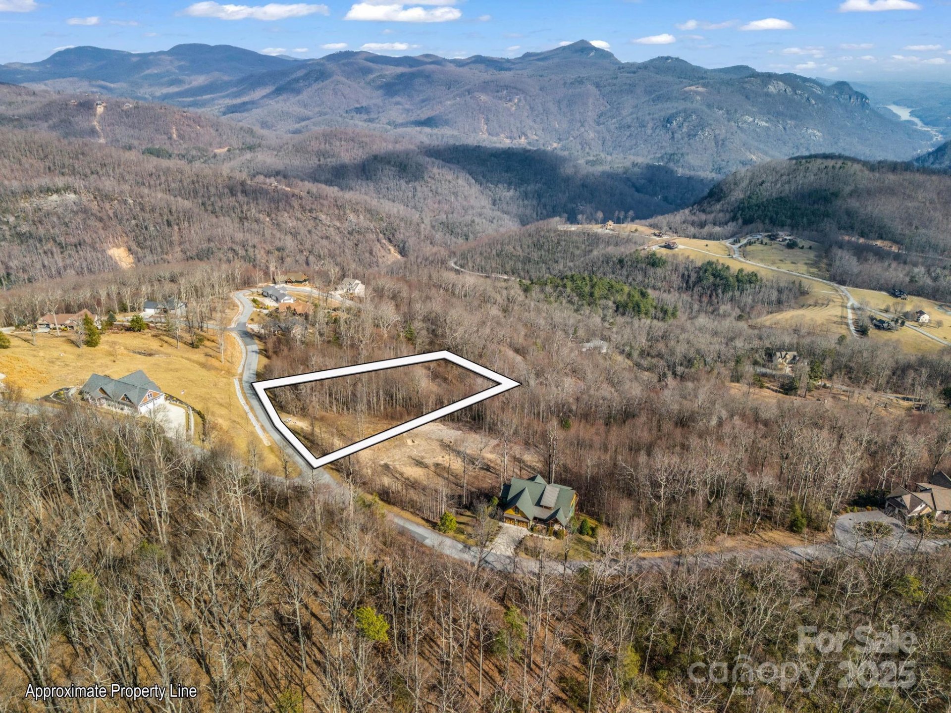 Property image 3 at 1229 Grand Oaks Drive, Hendersonville, NC 28792